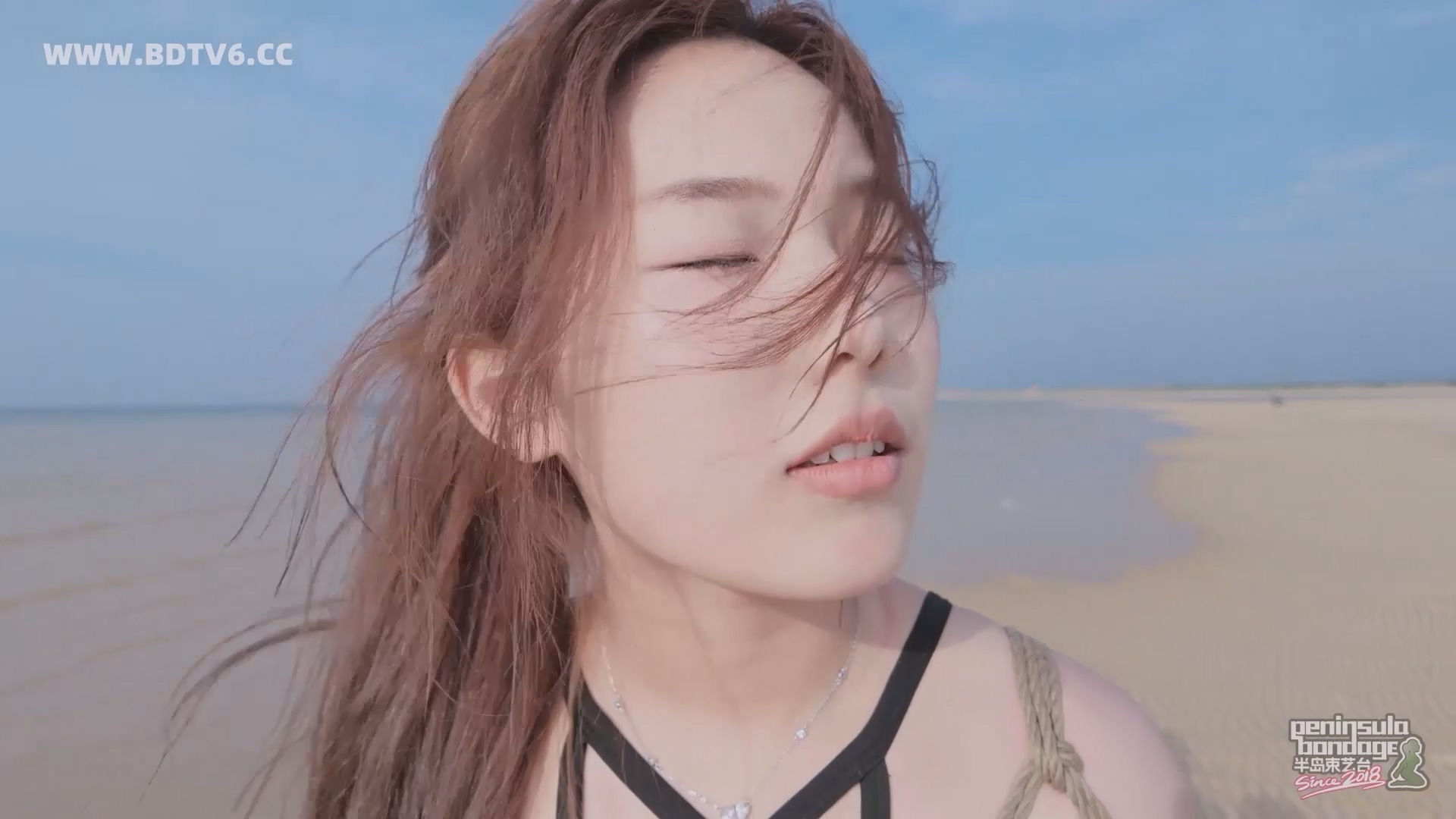 YT2834 蹦跳的鱼/index.m3u8_20250613_010438.074.jpg