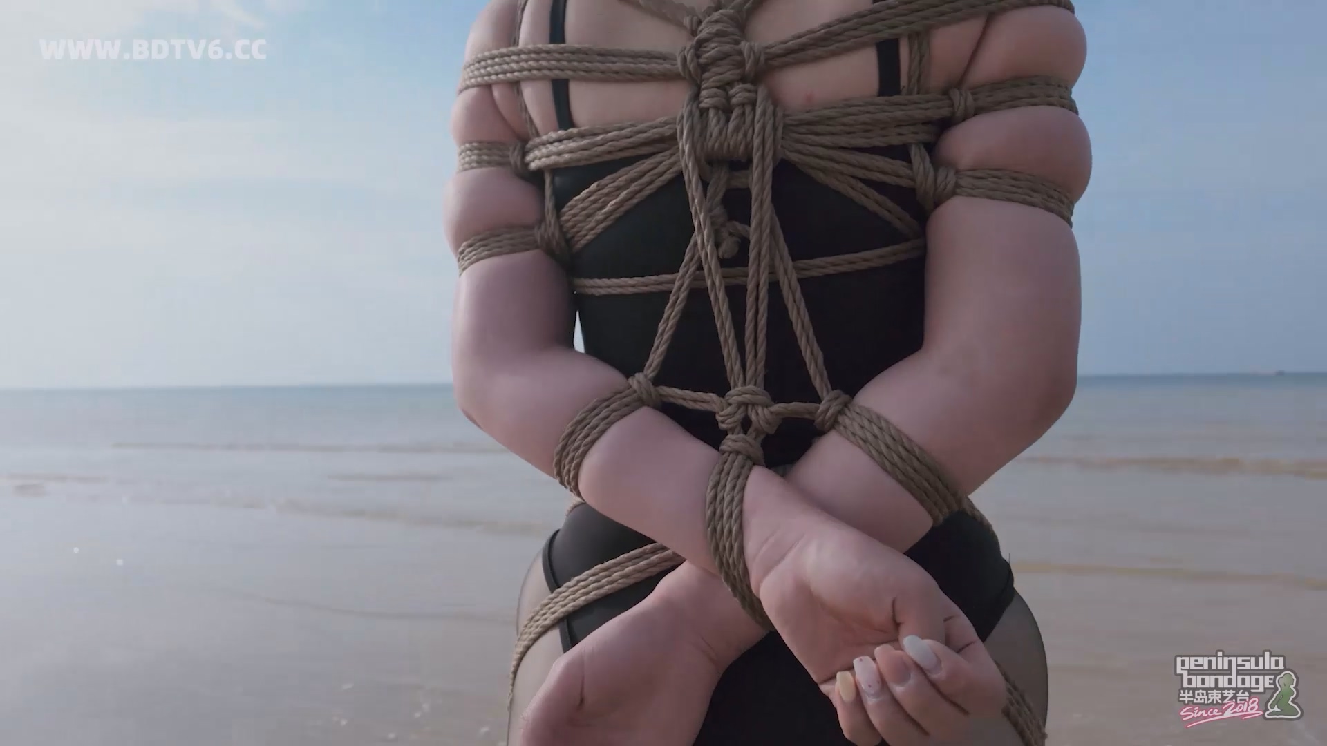 YT2834 蹦跳的鱼/index.m3u8_20250613_010441.254.jpg