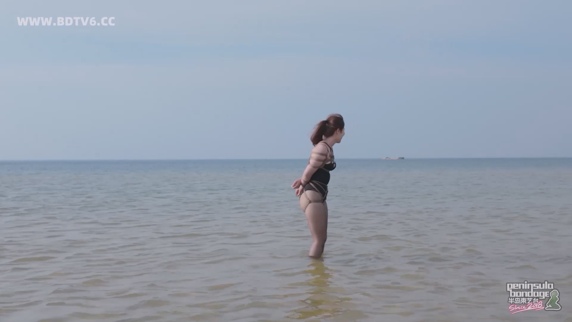 YT2834 蹦跳的鱼/index.m3u8_20250613_010501.295.jpg