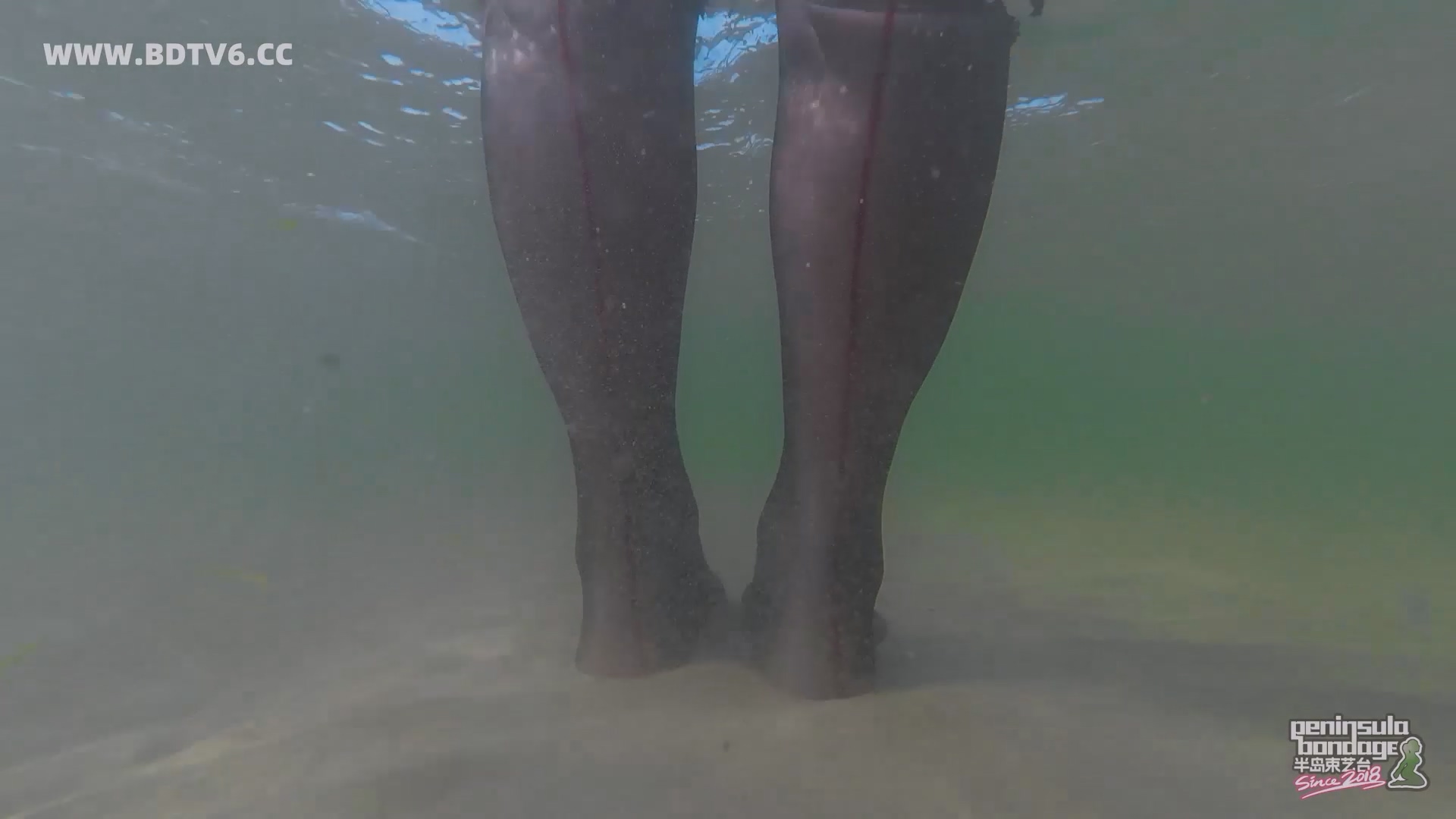 YT2834 蹦跳的鱼/index.m3u8_20250613_010520.075.jpg