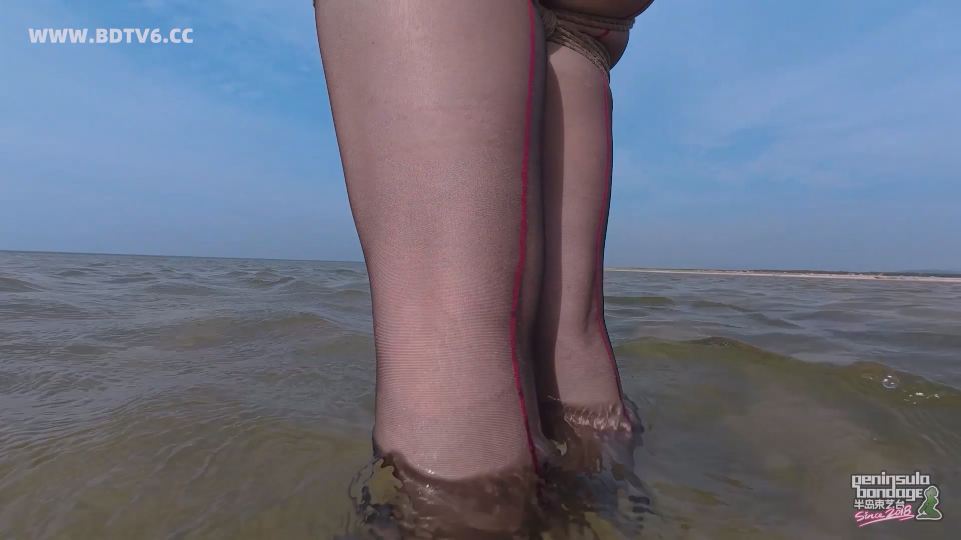 YT2834 蹦跳的鱼/index.m3u8_20250613_010522.535.jpg