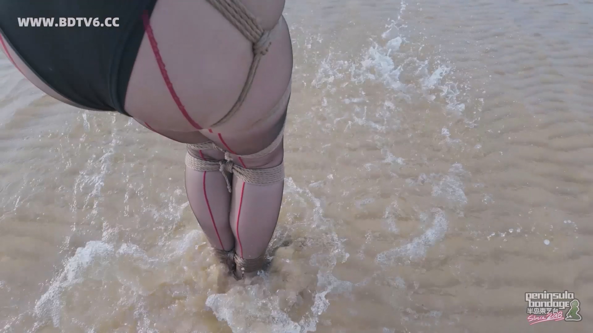 YT2834 蹦跳的鱼/index.m3u8_20250613_010536.815.jpg