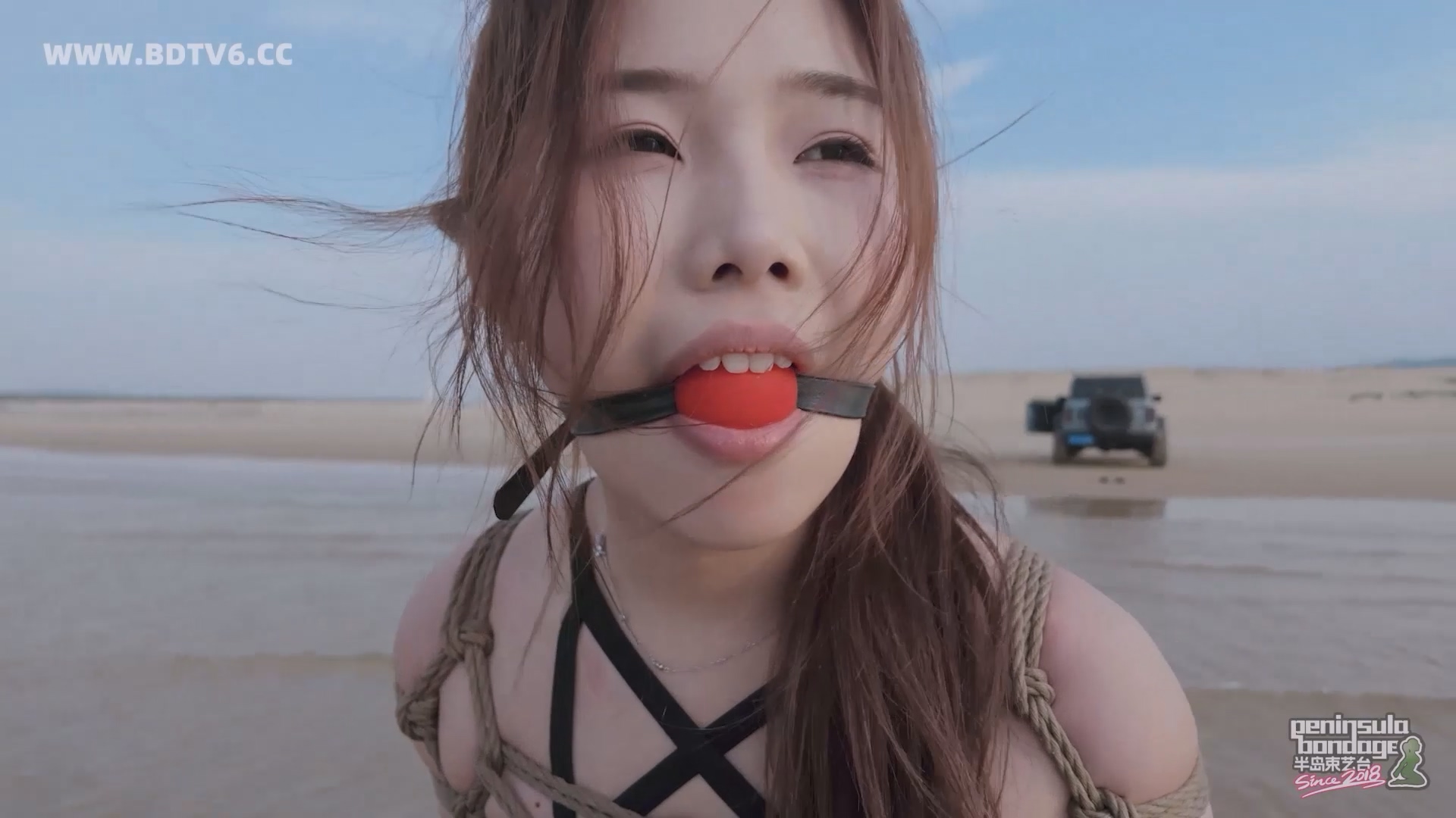 YT2834 蹦跳的鱼/index.m3u8_20250613_010542.875.jpg