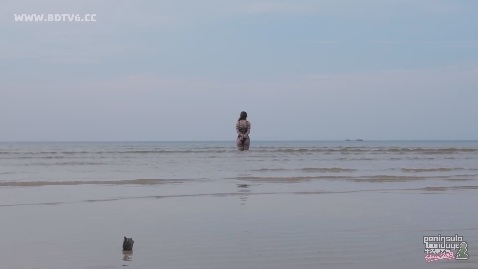 YT2834 蹦跳的鱼/index.m3u8_20250613_010548.875.jpg