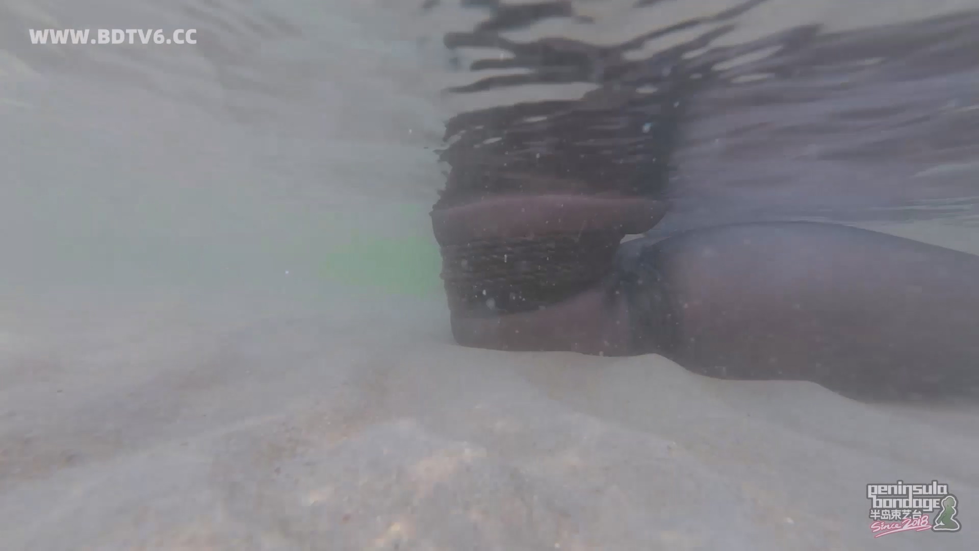 YT2834 蹦跳的鱼/index.m3u8_20250613_010556.046.jpg