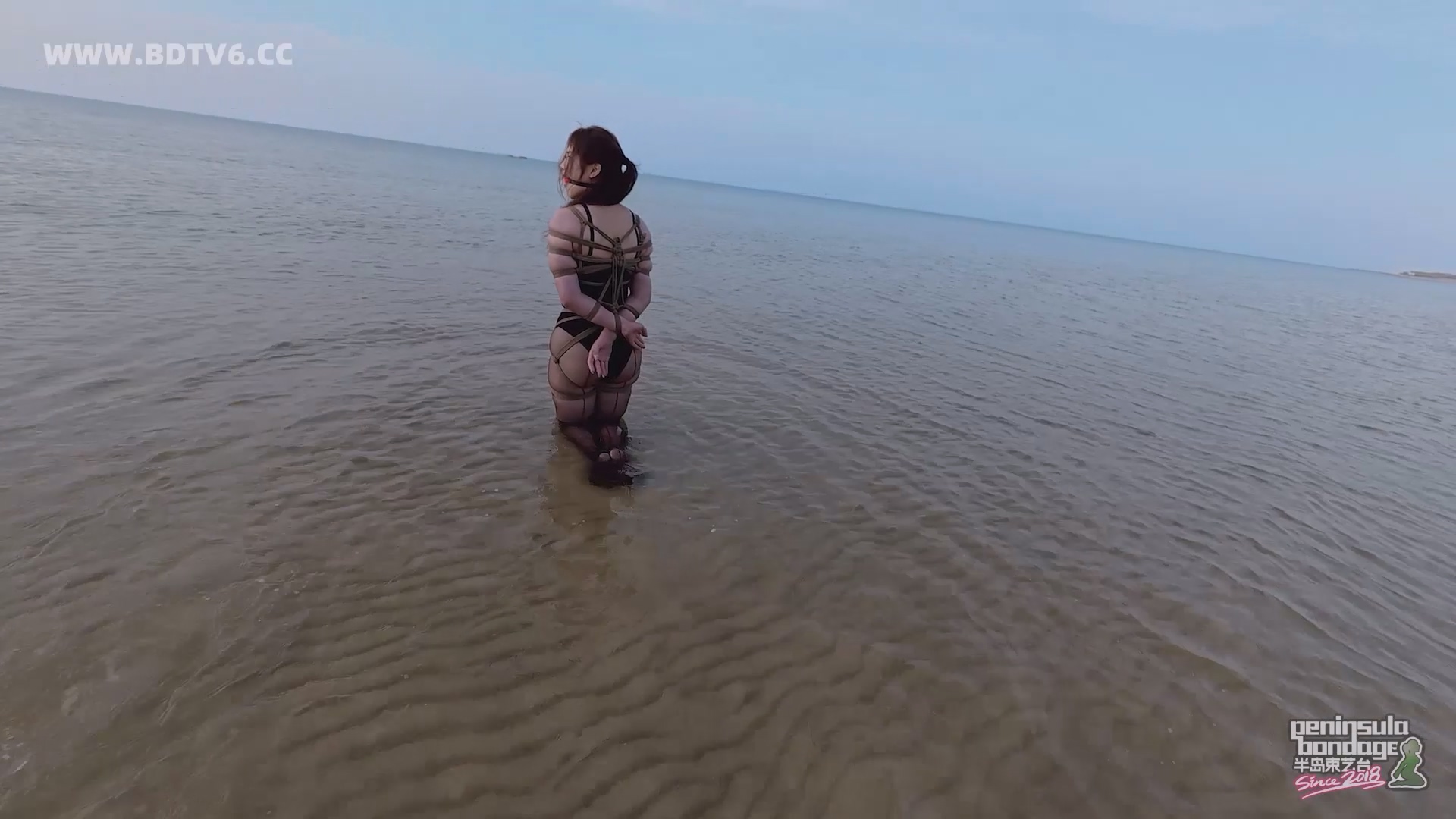 YT2834 蹦跳的鱼/index.m3u8_20250613_010701.026.jpg