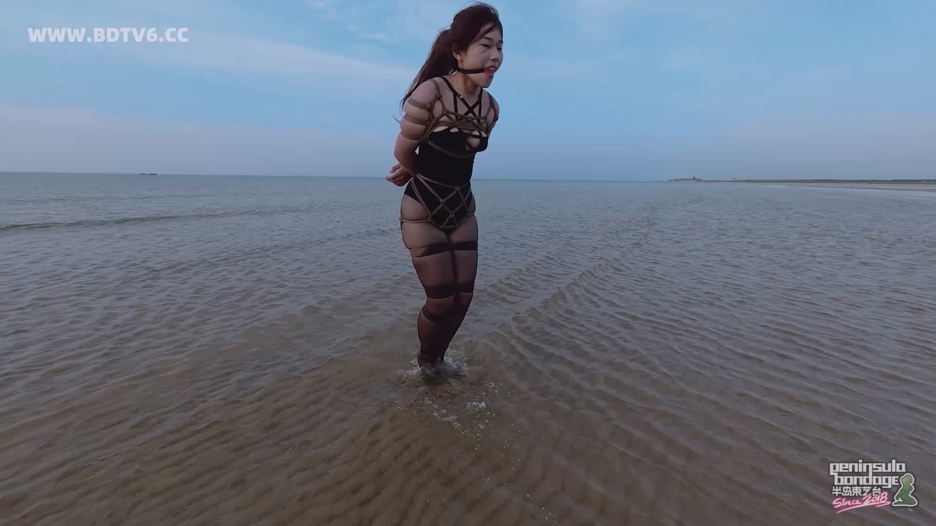 YT2834 蹦跳的鱼/index.m3u8_20250613_010718.786.jpg