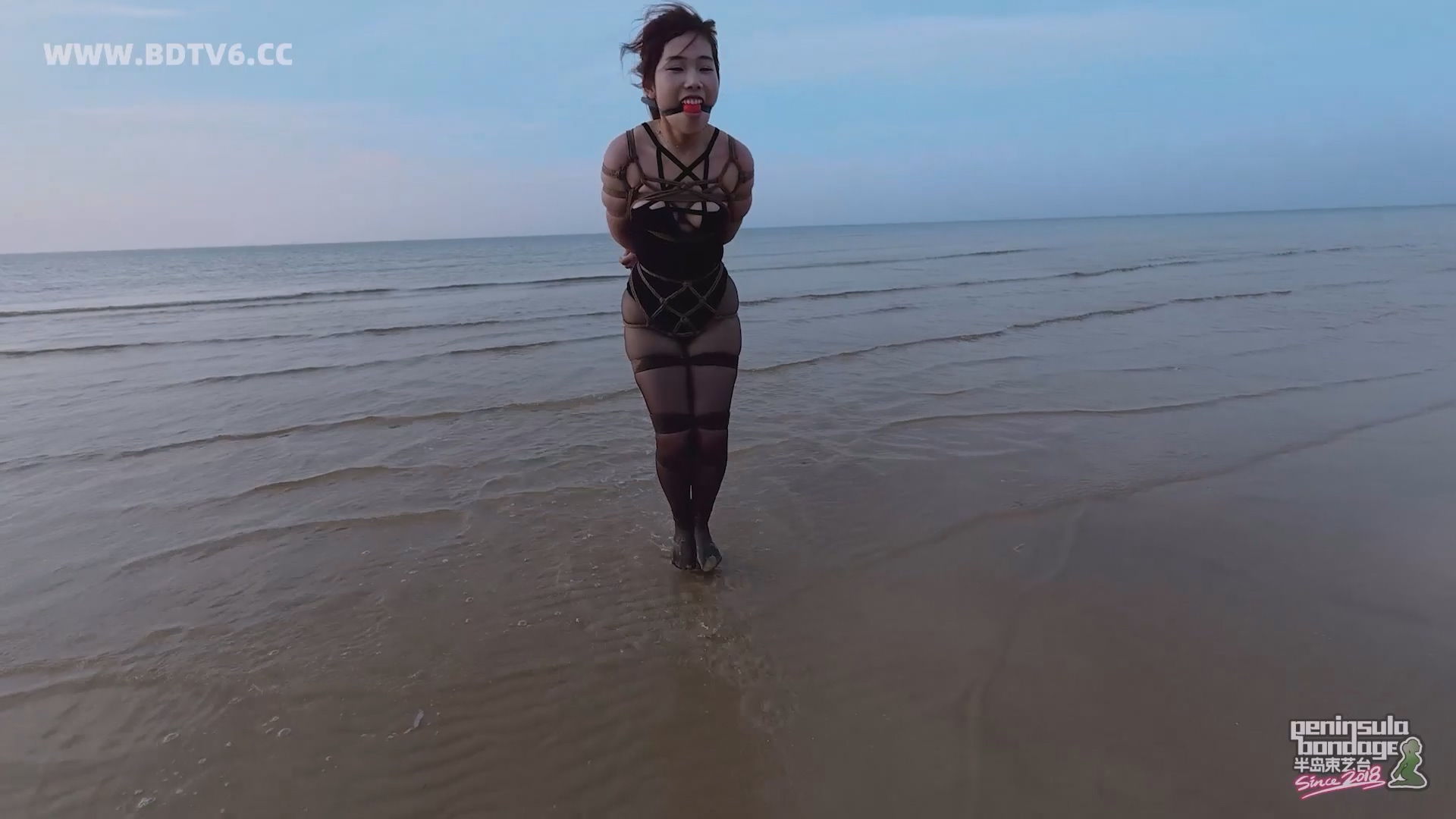 YT2834 蹦跳的鱼/index.m3u8_20250613_010720.406.jpg