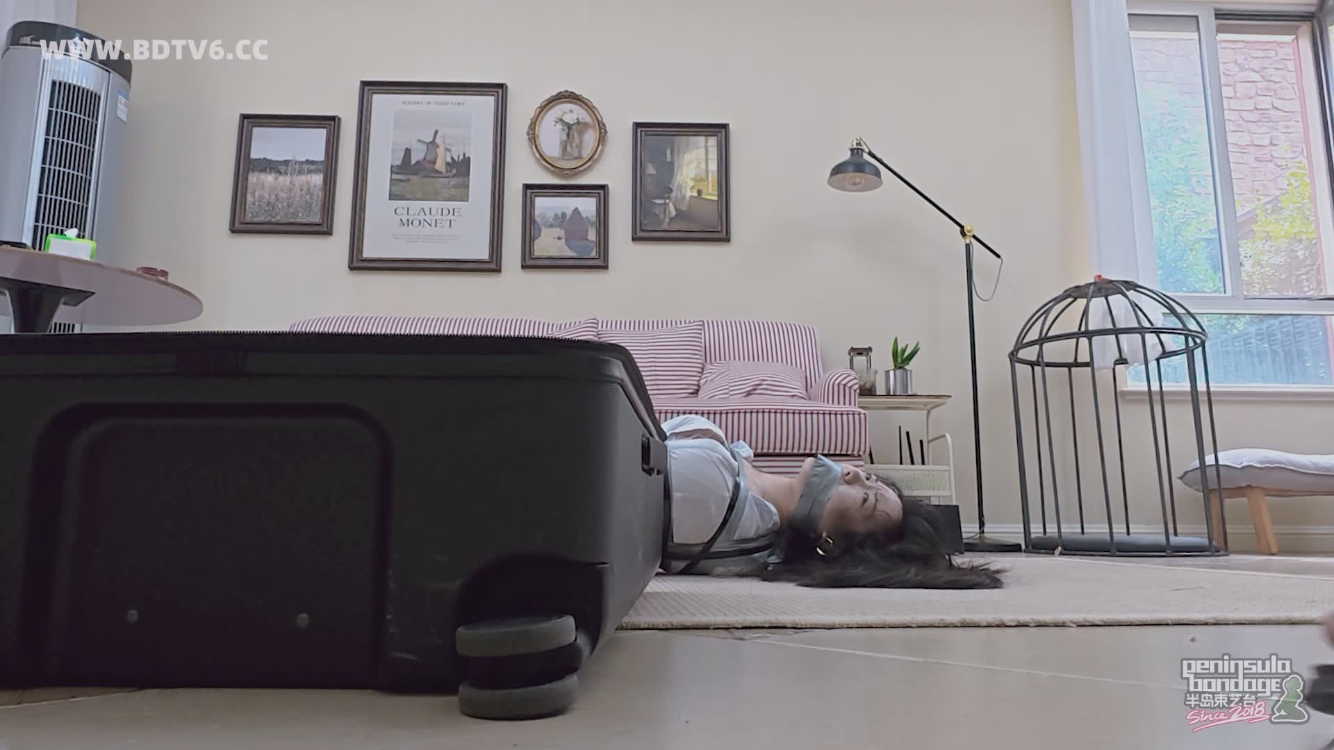 YT2840 西班牙定拍:新型安保系统2/index.m3u8_20250614_023123.963.jpg