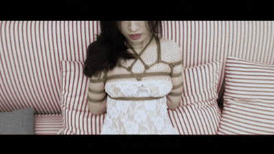 YT2850.gif YT2850.gif