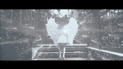 YT2849.gif YT2849.gif