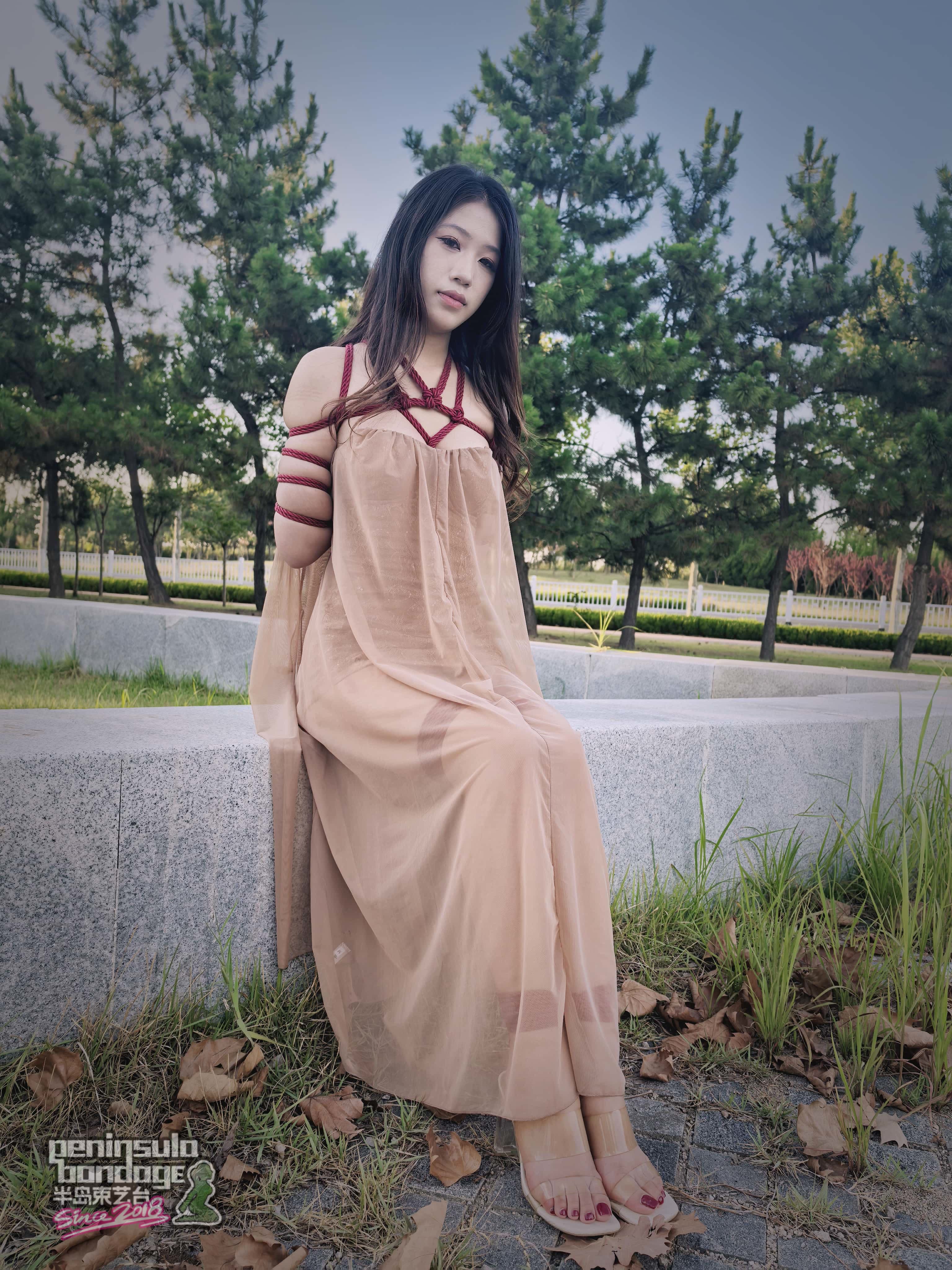 YT2913 行走的丝带