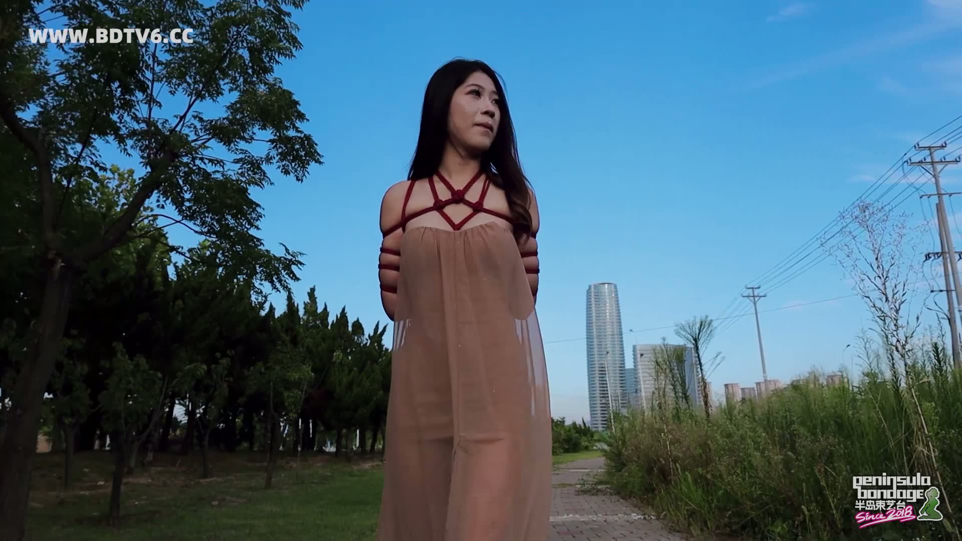 YT2913 行走的丝带/index.m3u8_20250811_003023.322.jpg