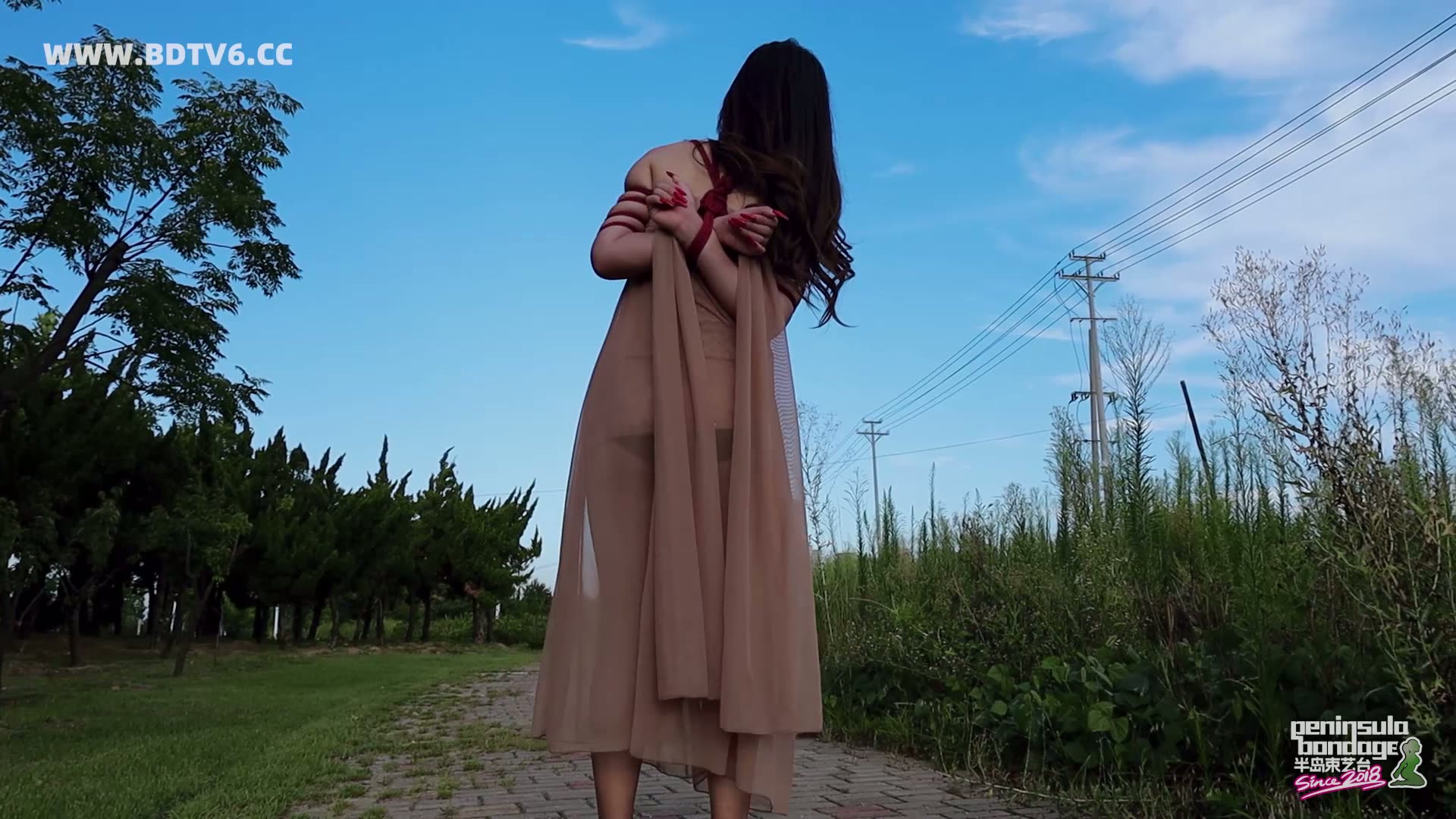 YT2913 行走的丝带/index.m3u8_20250811_003035.292.jpg