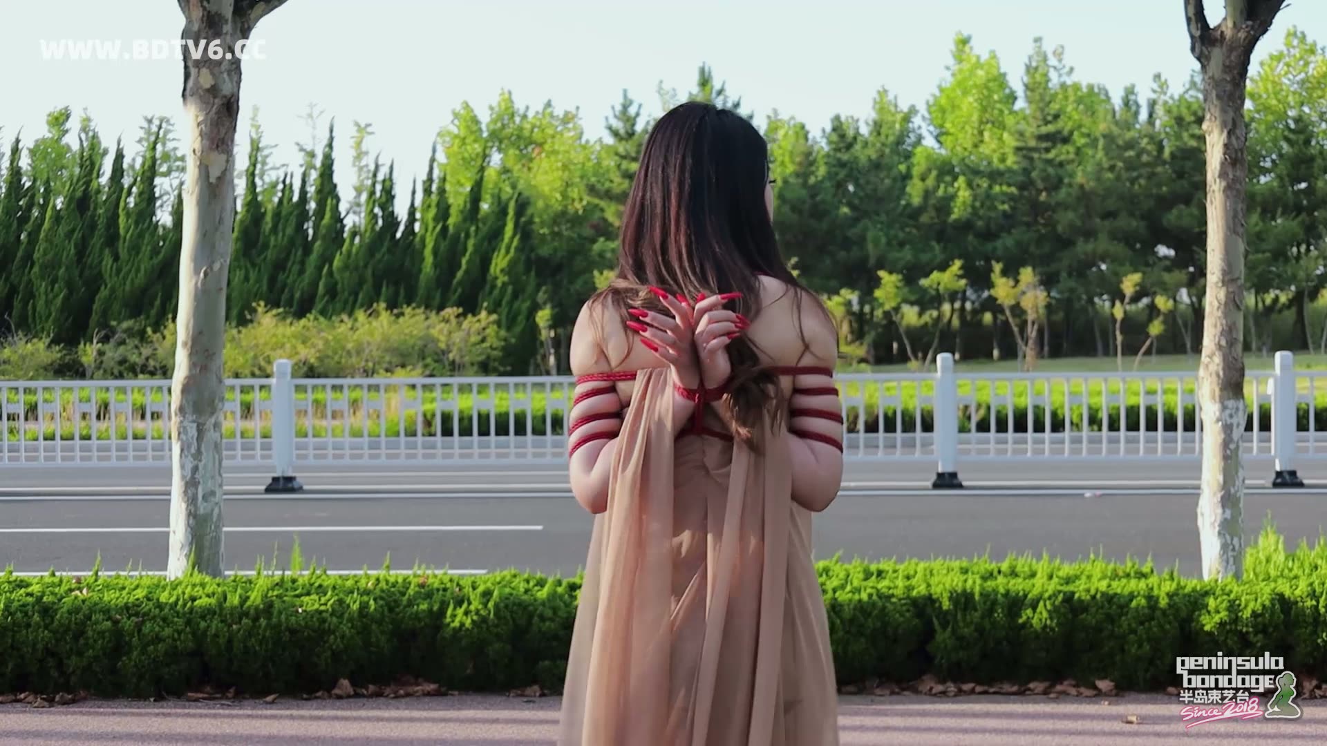 YT2913 行走的丝带/index.m3u8_20250811_003123.202.jpg