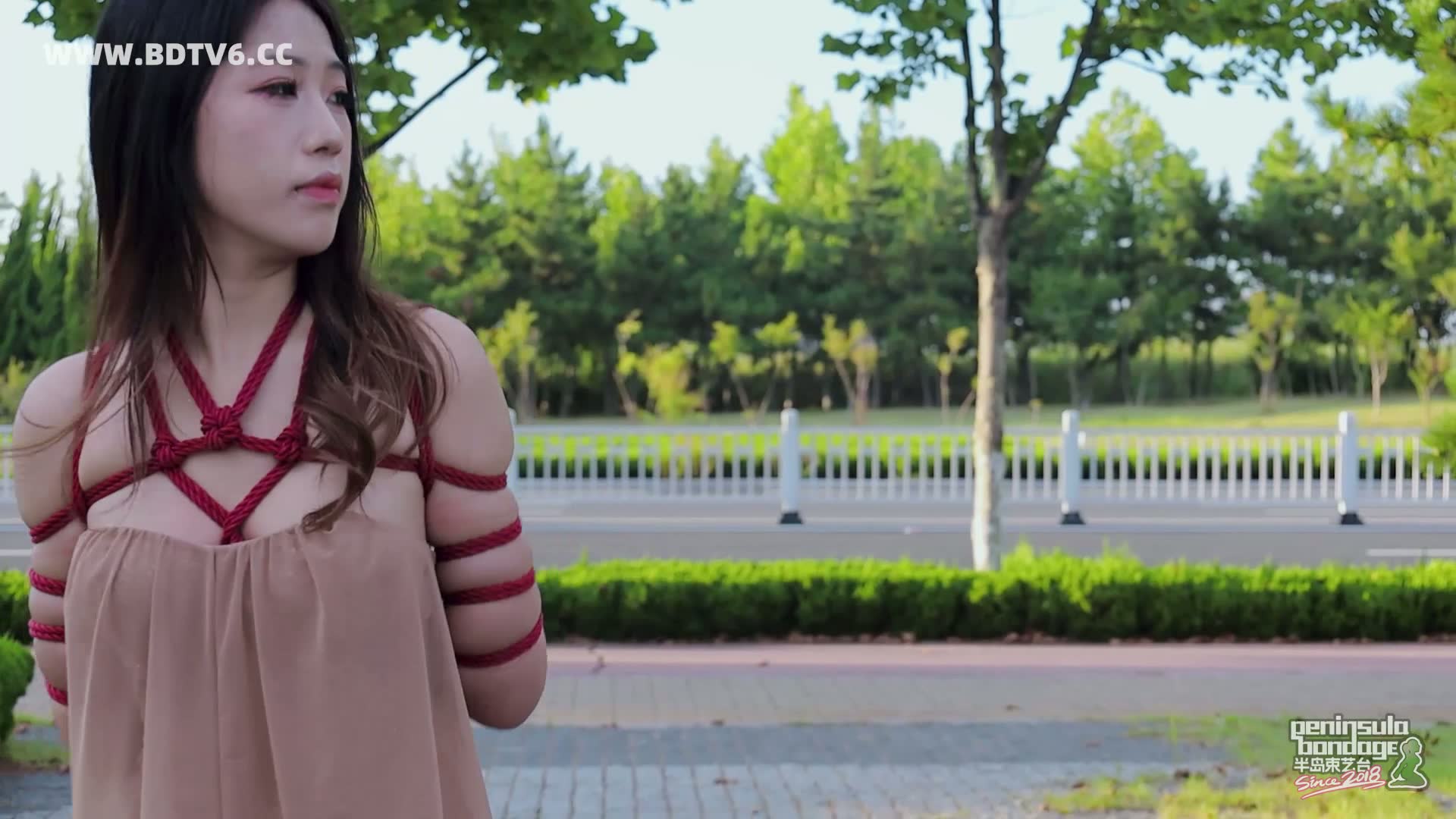 YT2913 行走的丝带/index.m3u8_20250811_003148.313.jpg