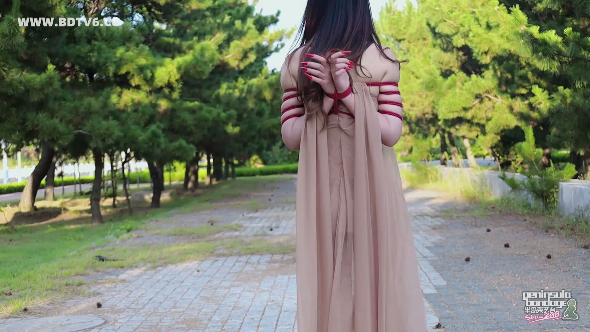 YT2913 行走的丝带/index.m3u8_20250811_003151.224.jpg