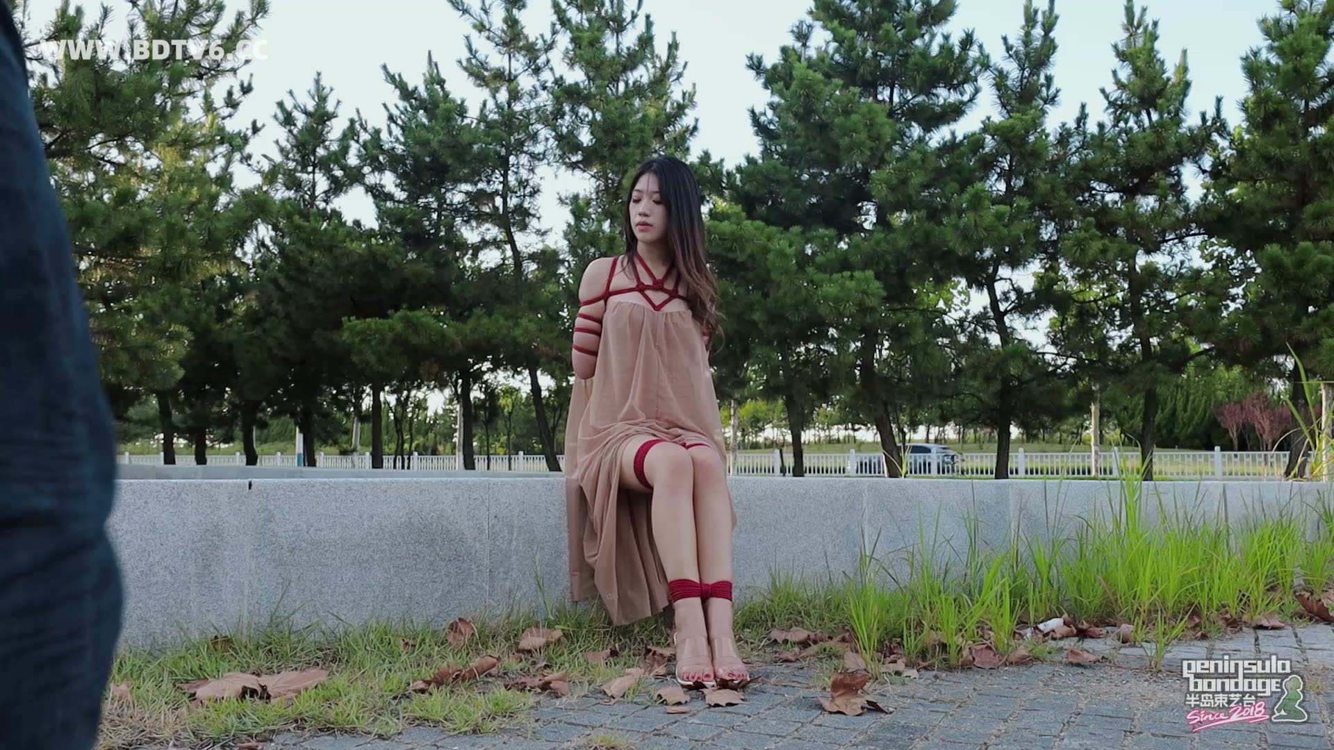 YT2913 行走的丝带/index.m3u8_20250811_003216.094.jpg