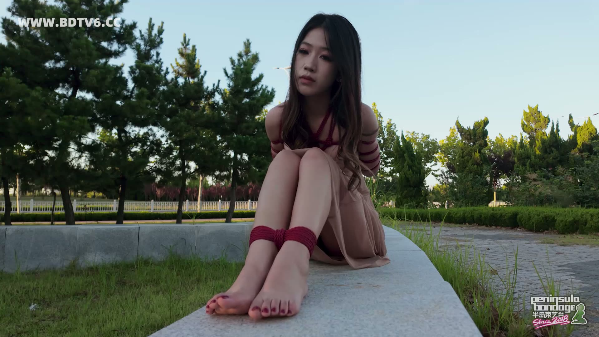 YT2913 行走的丝带/index.m3u8_20250811_003426.746.jpg