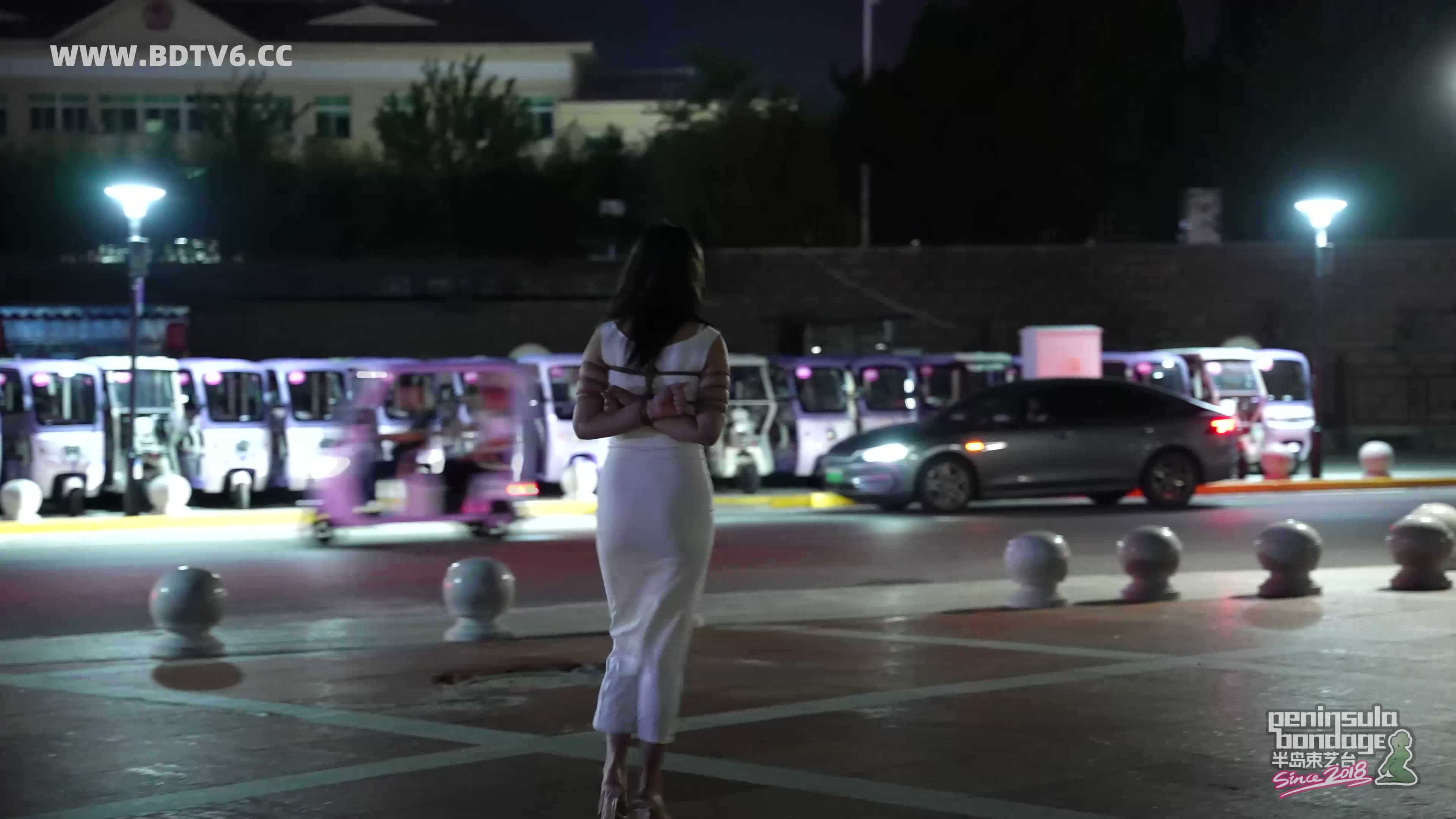 YT2918 不穿内裤的夜行者/index.m3u8_20250820_035804.294.jpg