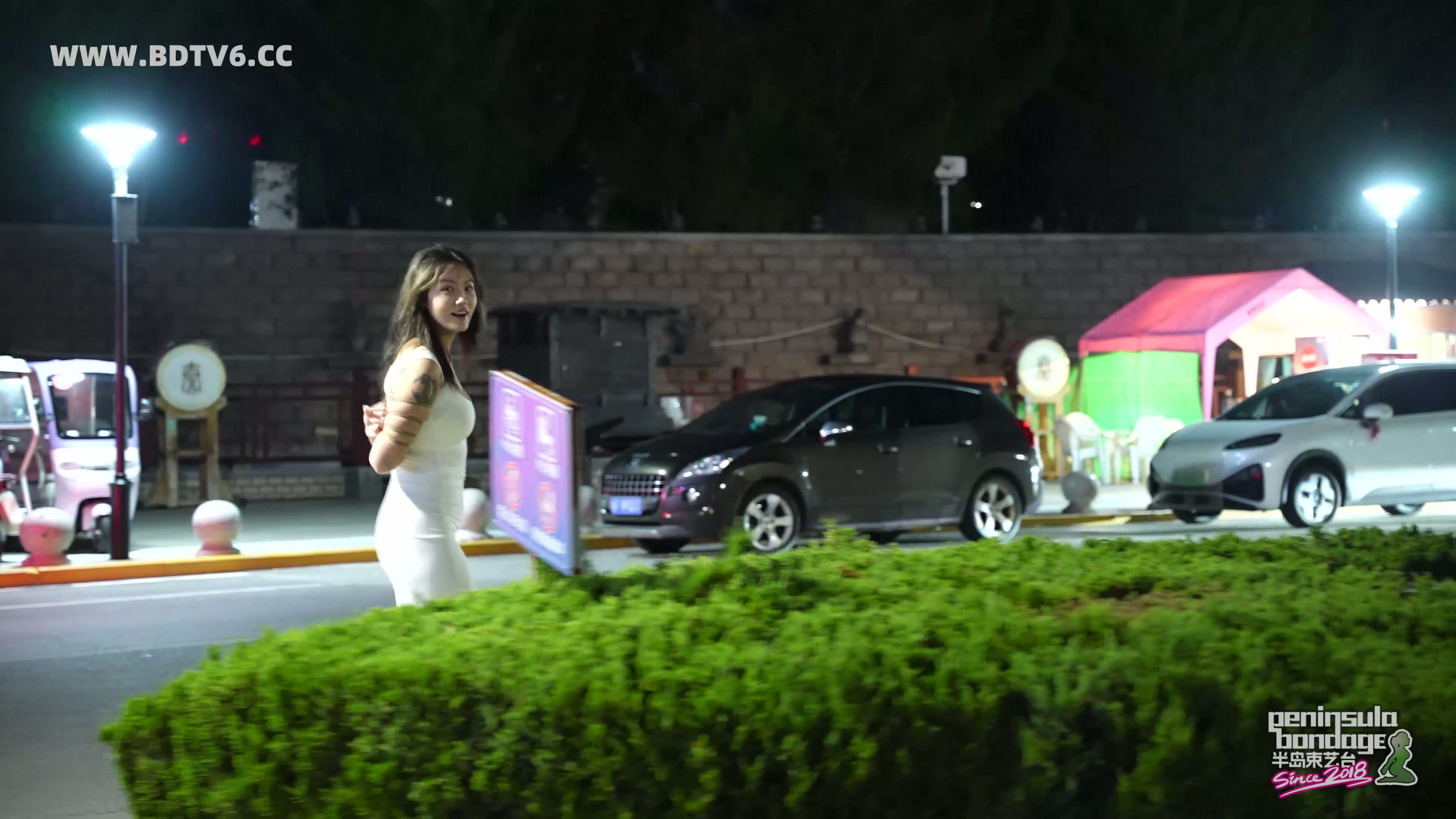 YT2918 不穿内裤的夜行者/index.m3u8_20250820_035811.644.jpg