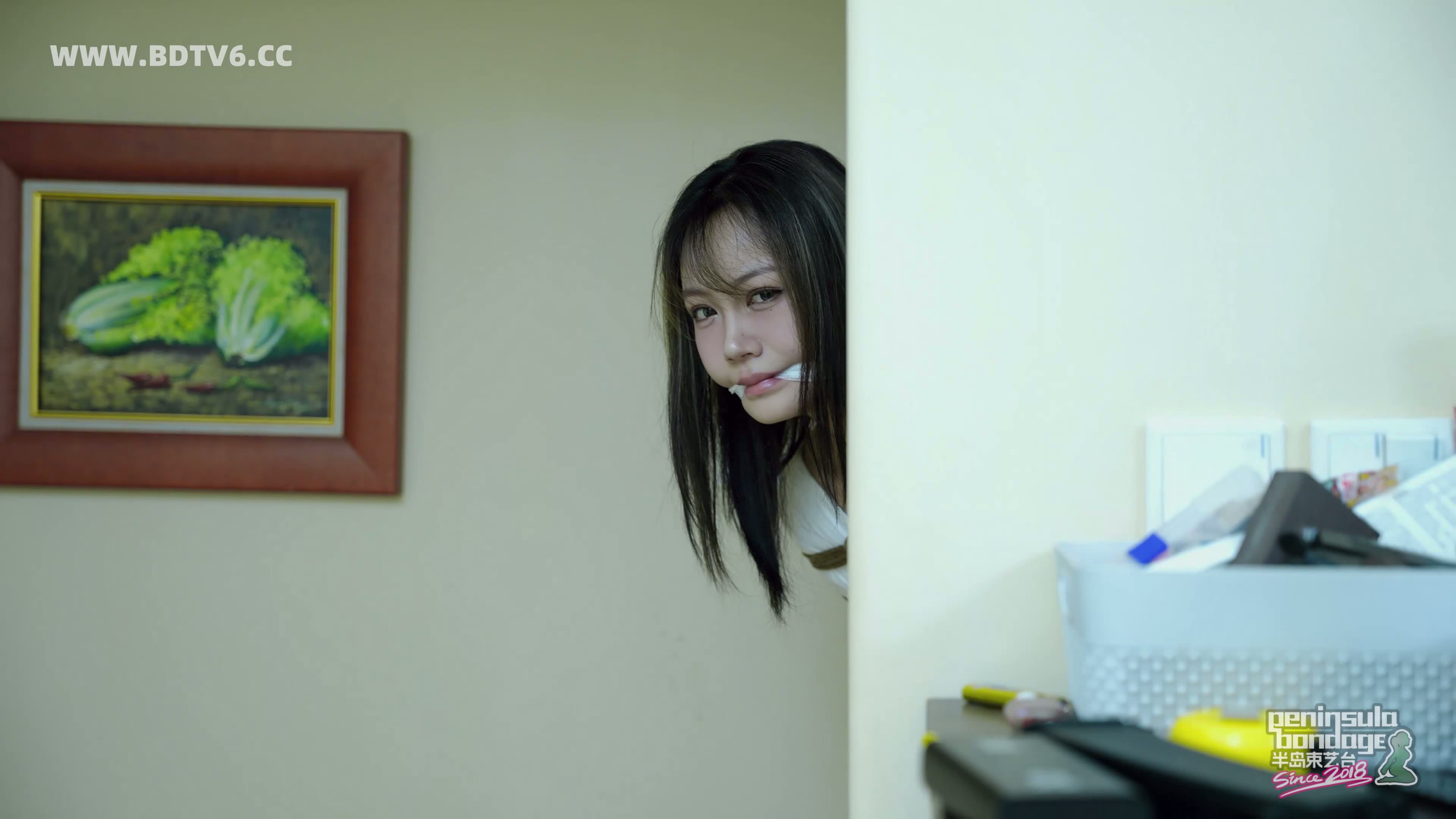 YT2920 查打一体无人相机/index.m3u8_20250821_124402.422.jpg