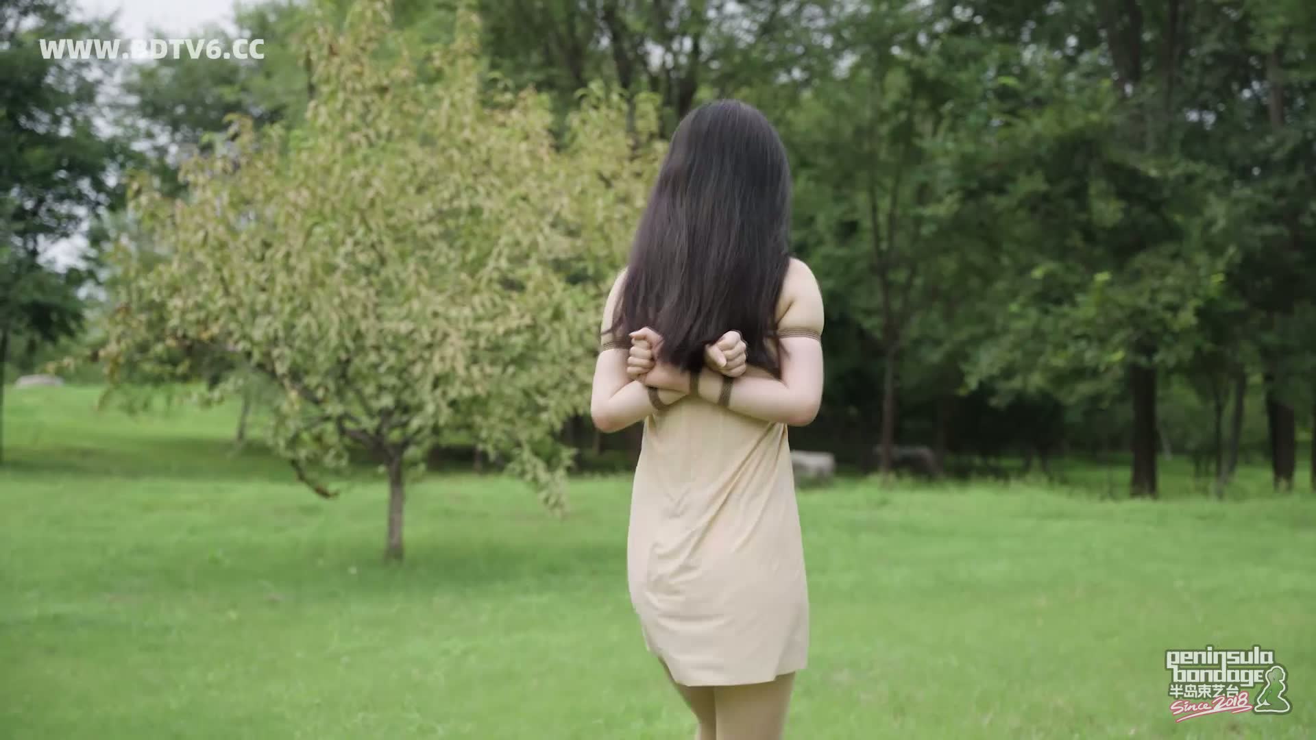 YT2927 蚊子的下午茶/index.m3u8_20250828_041412.532.jpg