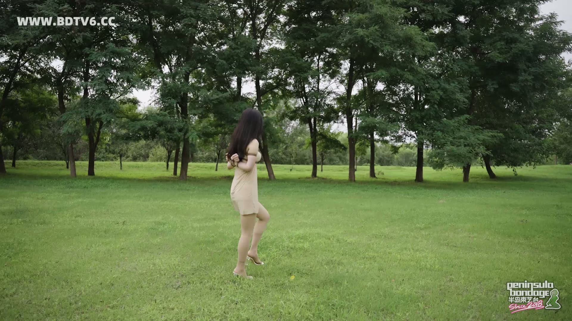 YT2927 蚊子的下午茶/index.m3u8_20250828_041406.232.jpg