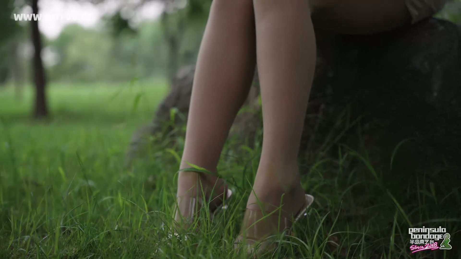 YT2927 蚊子的下午茶/index.m3u8_20250828_041420.902.jpg