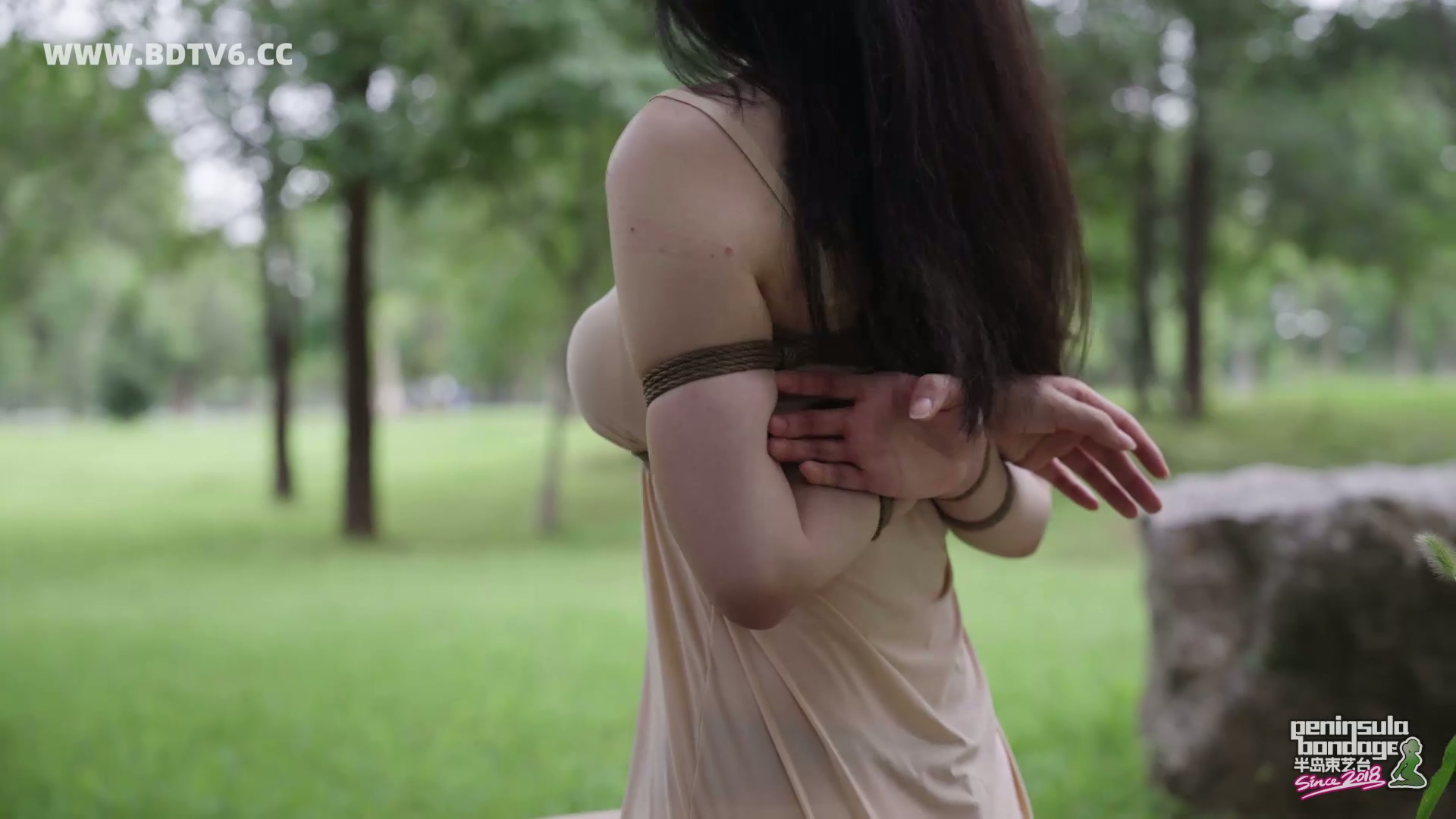 YT2927 蚊子的下午茶/index.m3u8_20250828_041429.032.jpg