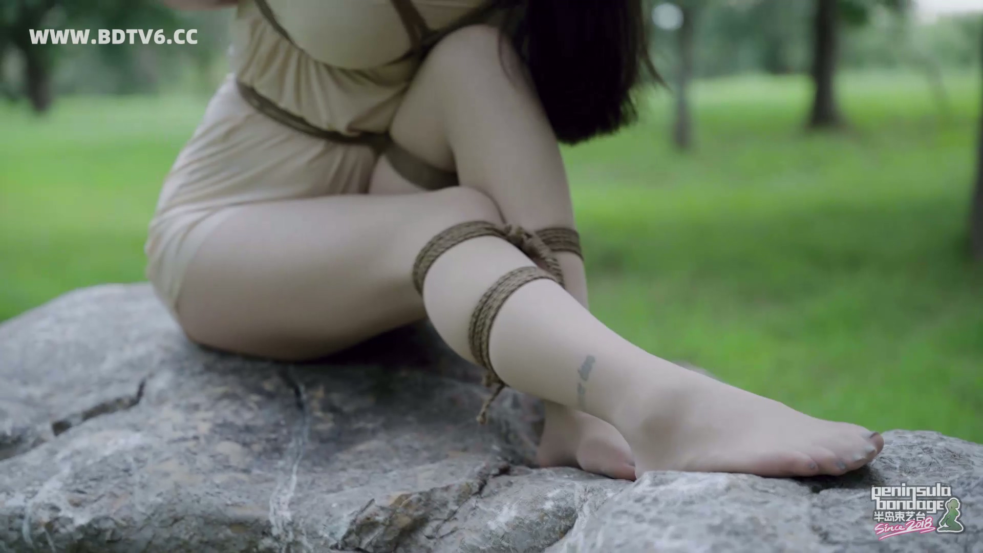 YT2927 蚊子的下午茶/index.m3u8_20250828_041451.292.jpg