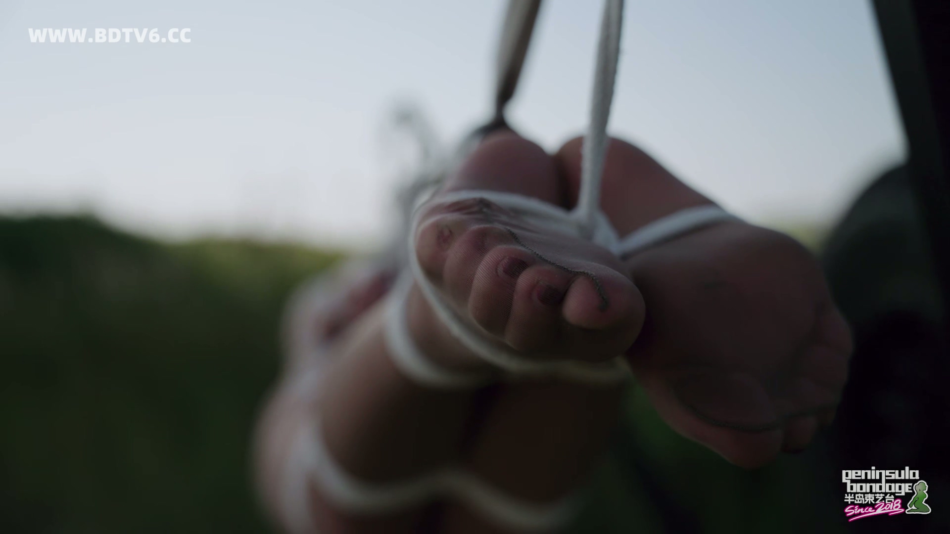 YT2941 奇怪的工具又增加了/index.m3u8_20250911_041536.107.jpg