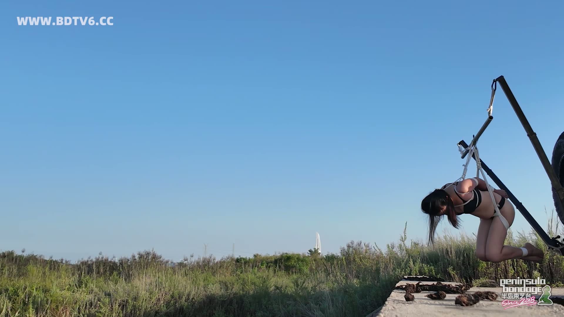 YT2942 台长一疯就容易要命/index.m3u8_20250911_023757.344.jpg