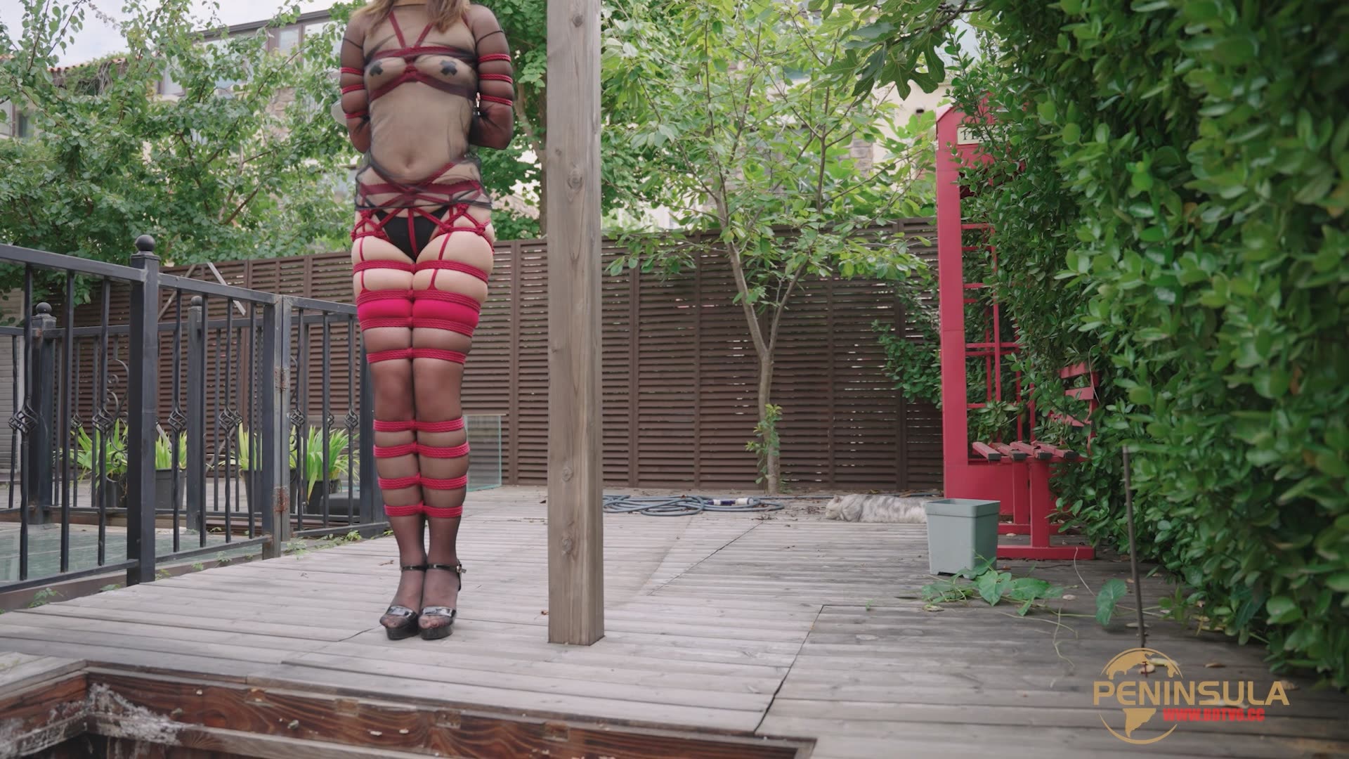 YT2958 自己选的坑含泪也要跳/index.m3u8_20250929_005849.092.jpg