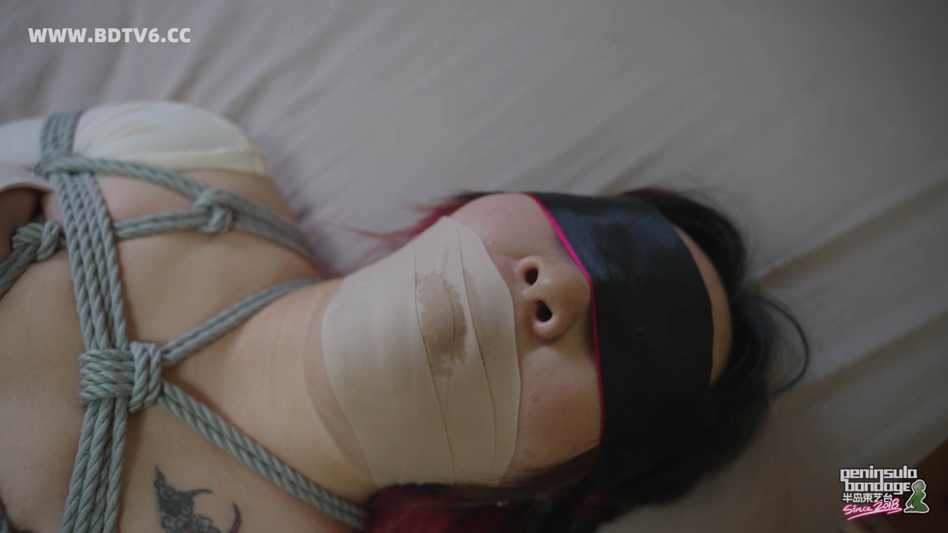 YT2965 五朝元老仍是牛马/index.m3u8_20251003_021506.613.jpg