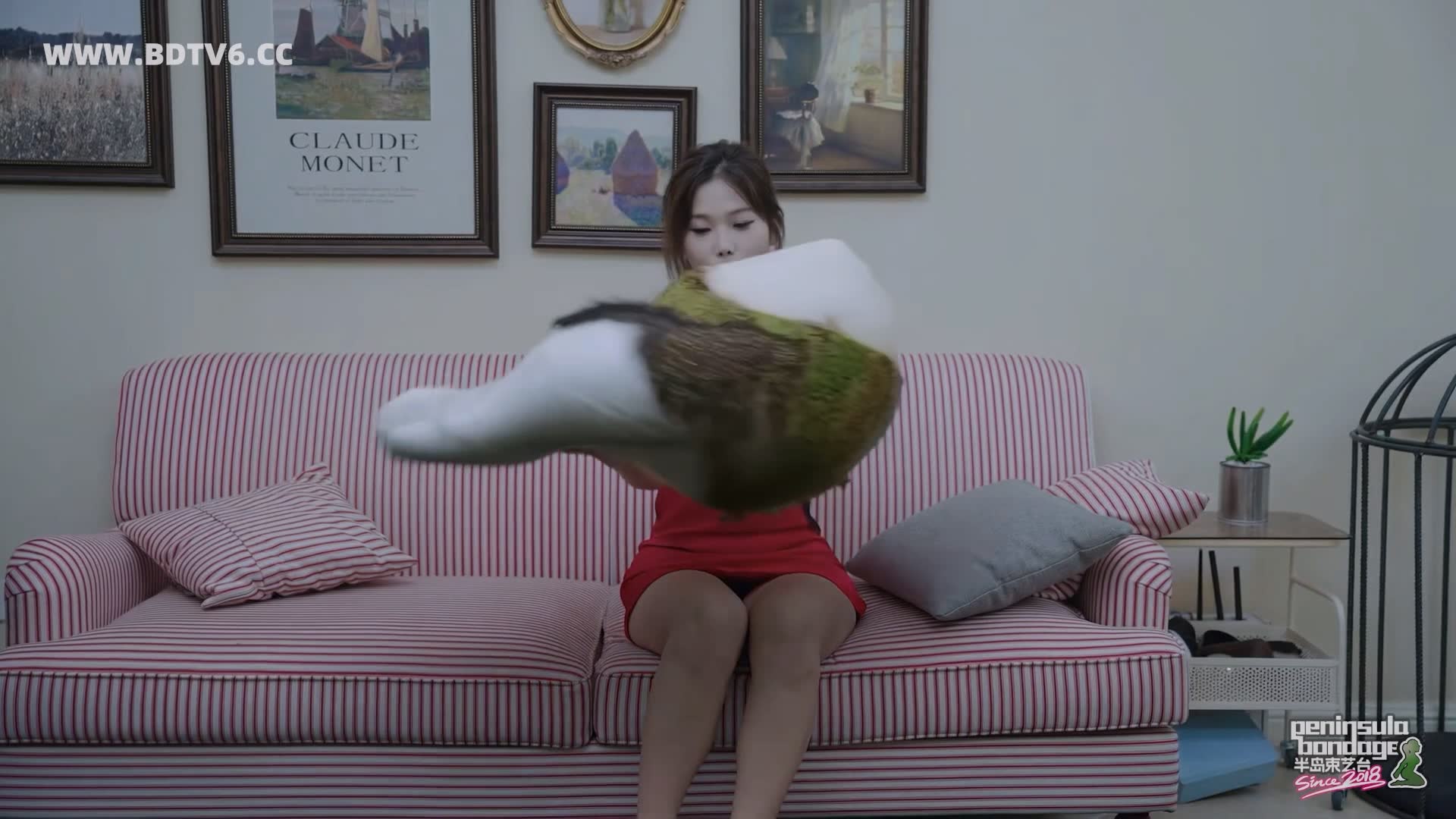 YT2972 我的椰子呢/index.m3u8_20251007_024559.815.jpg