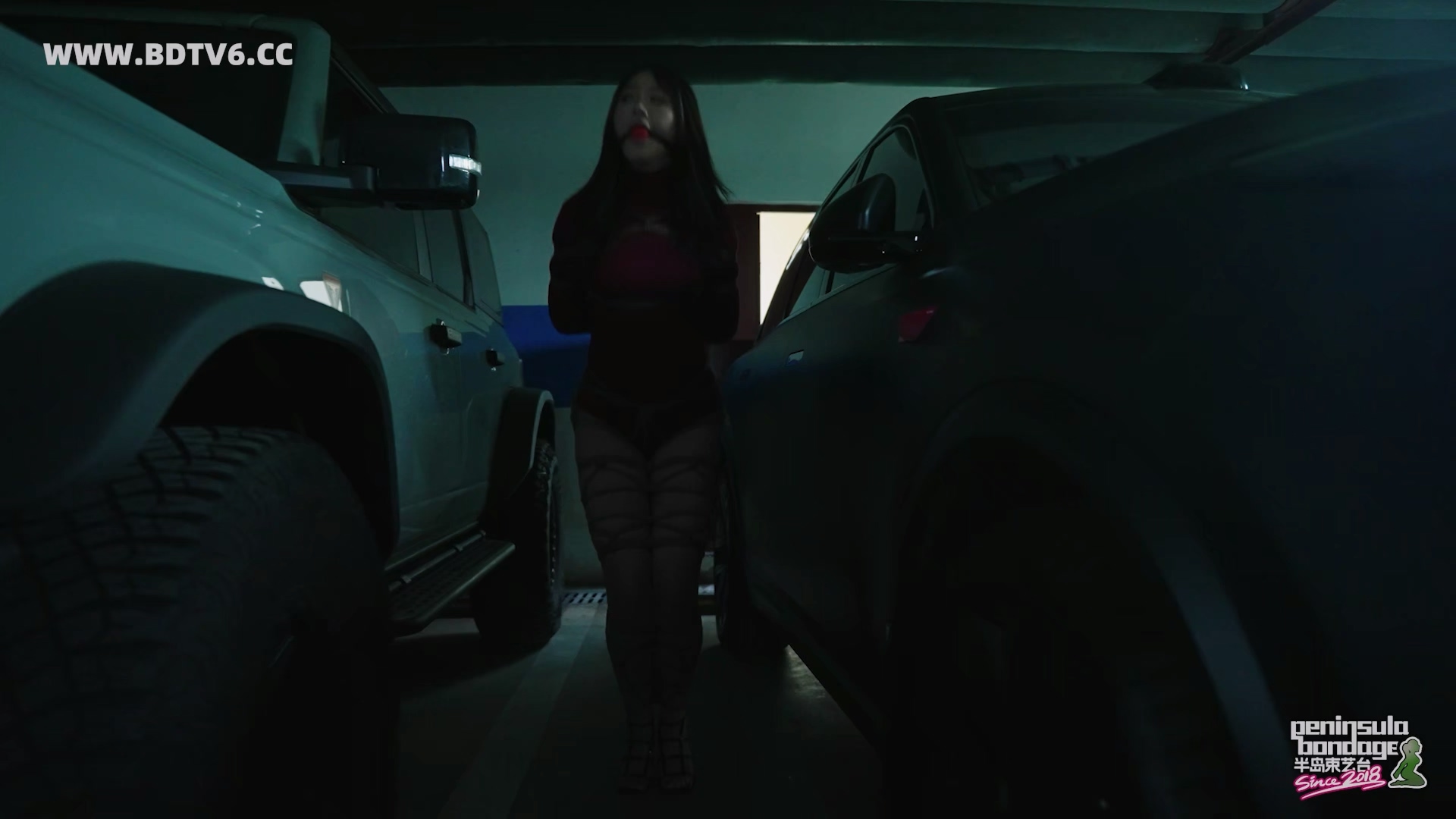 YT2979 如何退烧/index.m3u8_20251015_013539.844.jpg