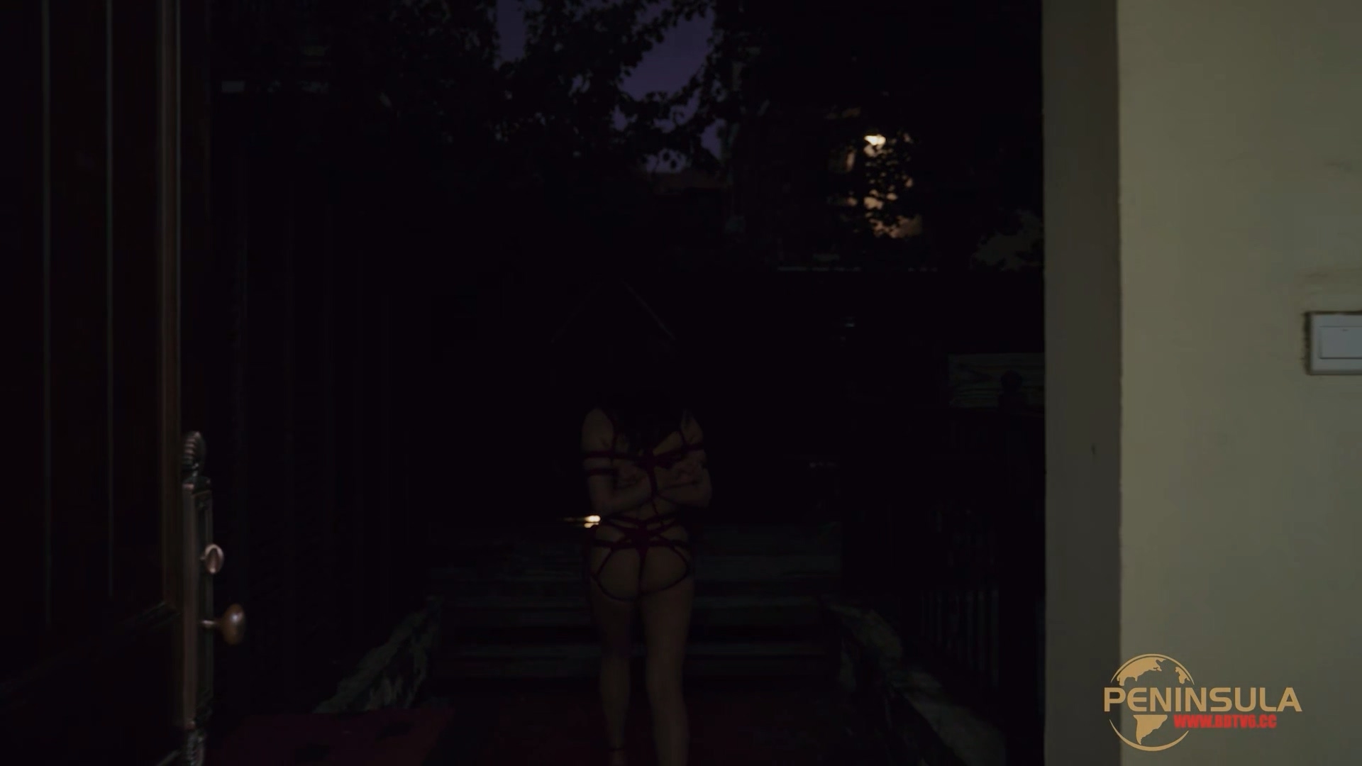 YT2980 跟波雅打赌是错误的/index.m3u8_20251019_043407.847.jpg