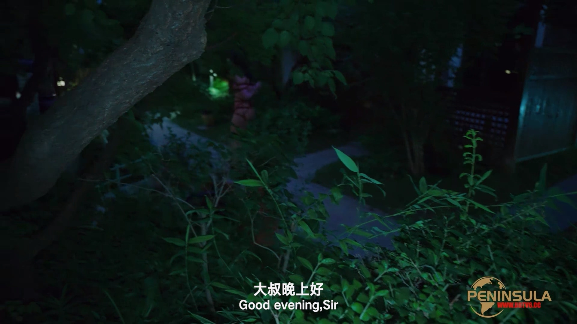 YT2980 跟波雅打赌是错误的/index.m3u8_20251019_043449.099.jpg