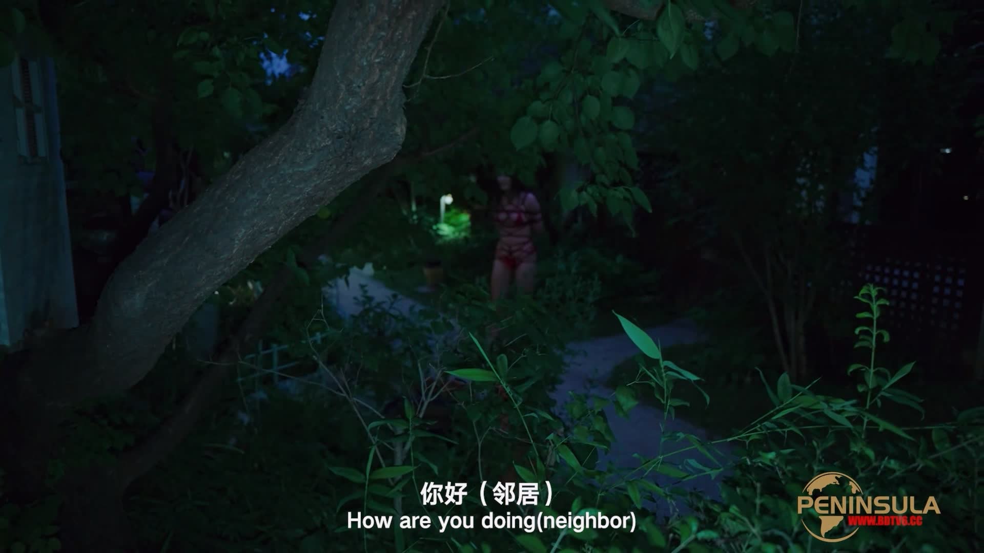 YT2980 跟波雅打赌是错误的/index.m3u8_20251019_043453.088.jpg