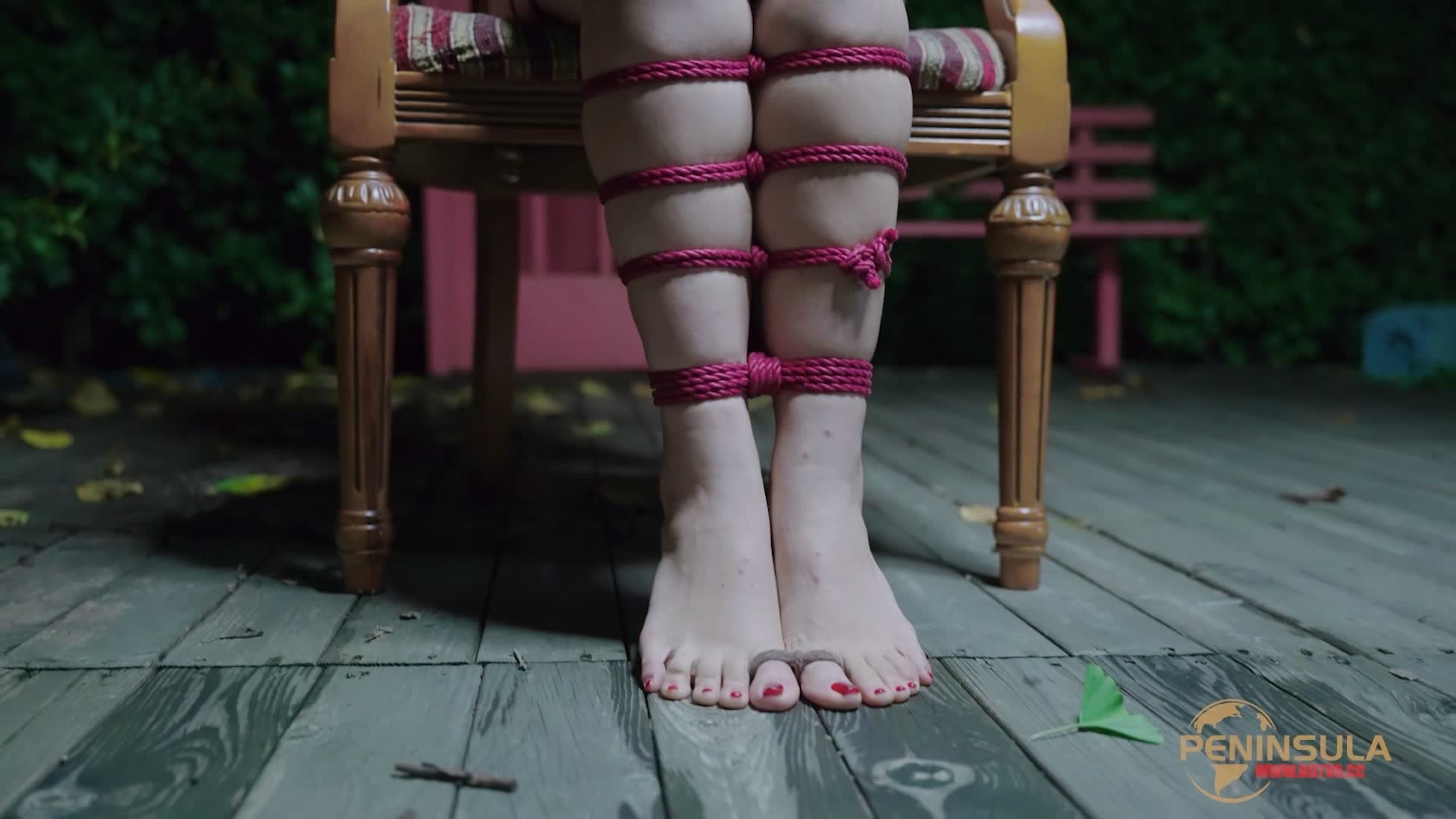 YT2980 跟波雅打赌是错误的/index.m3u8_20251019_043606.530.jpg