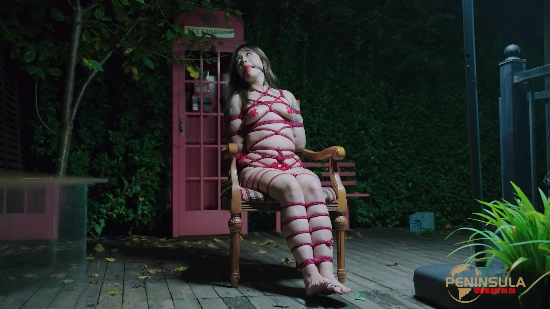 YT2980 跟波雅打赌是错误的/index.m3u8_20251019_043616.520.jpg