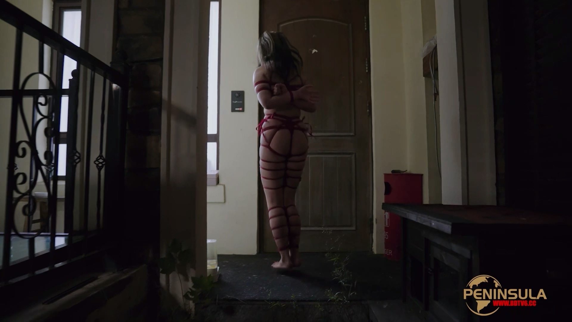 YT2980 跟波雅打赌是错误的/index.m3u8_20251019_043630.110.jpg