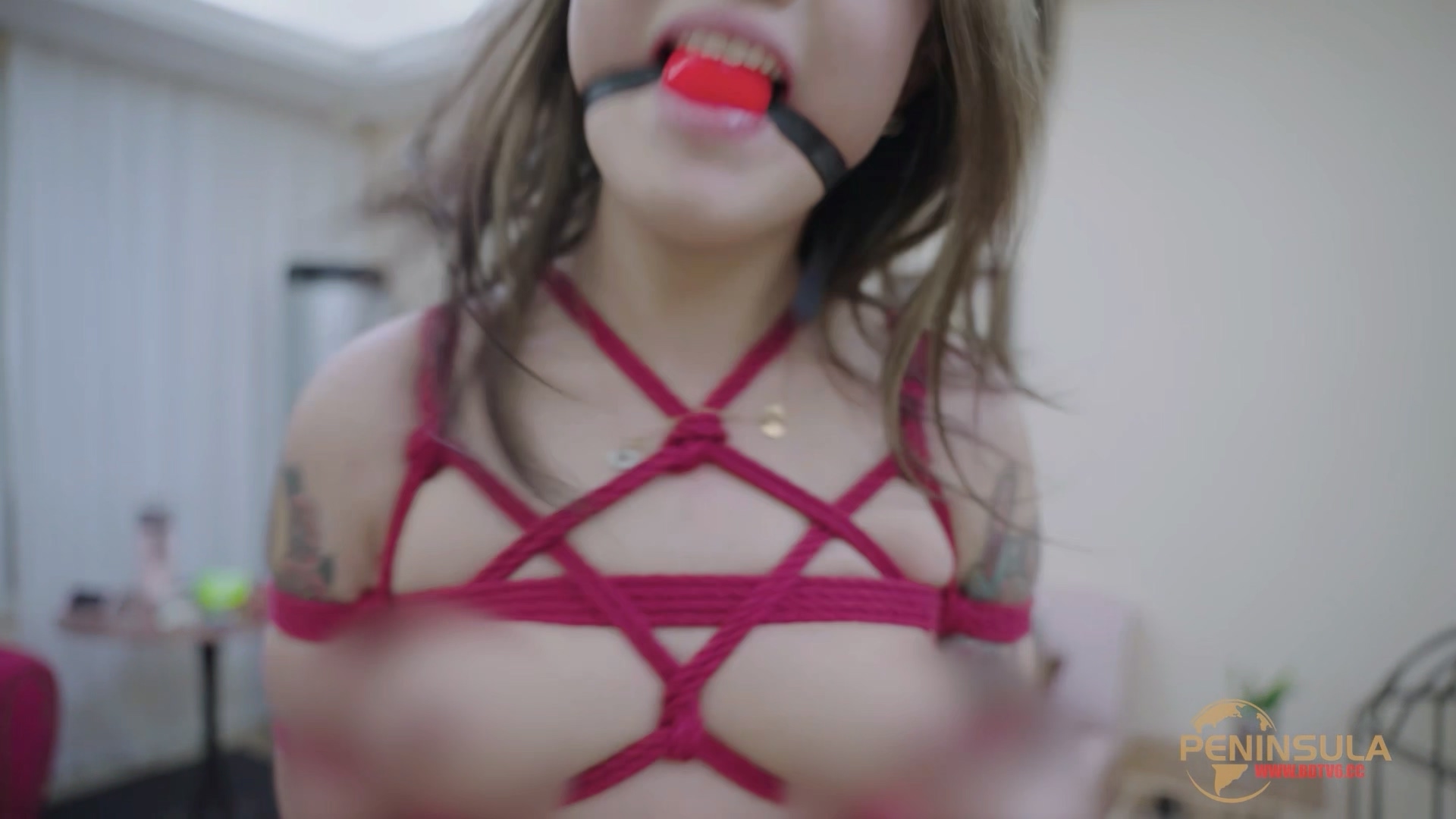 YT2980 跟波雅打赌是错误的/index.m3u8_20251019_043644.180.jpg