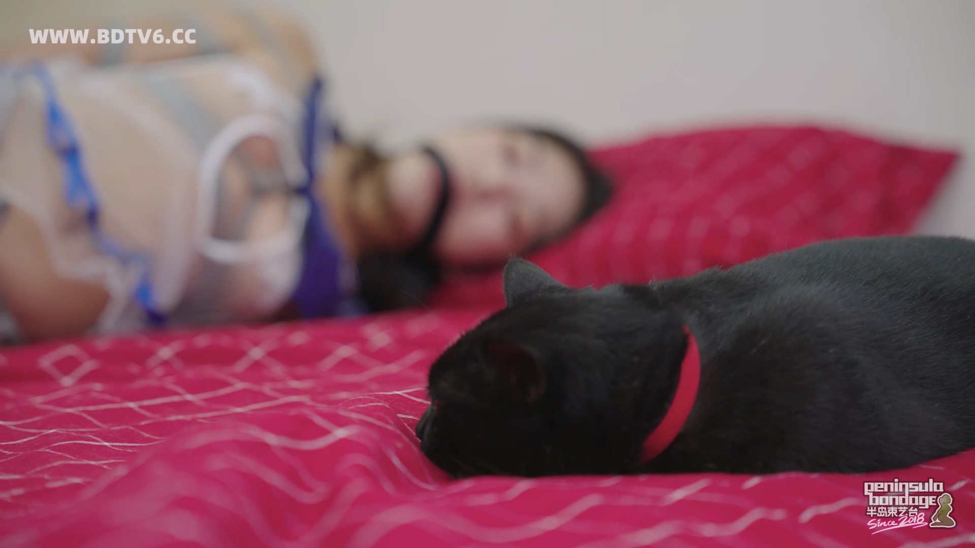 YT2986 ★复制镜/index.m3u8_20251020_034613.069.jpg