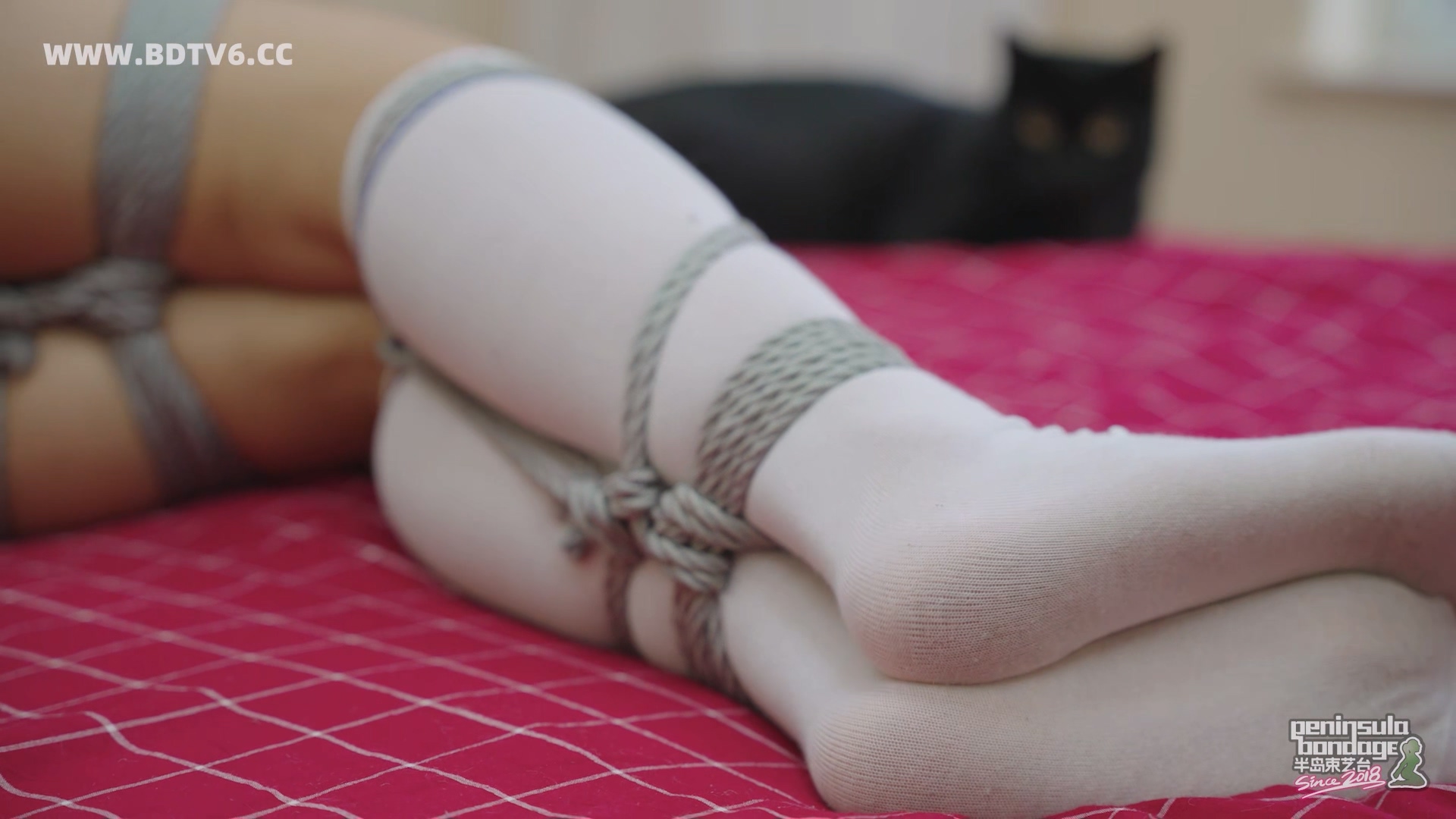 YT2986 ★复制镜/index.m3u8_20251020_034641.359.jpg