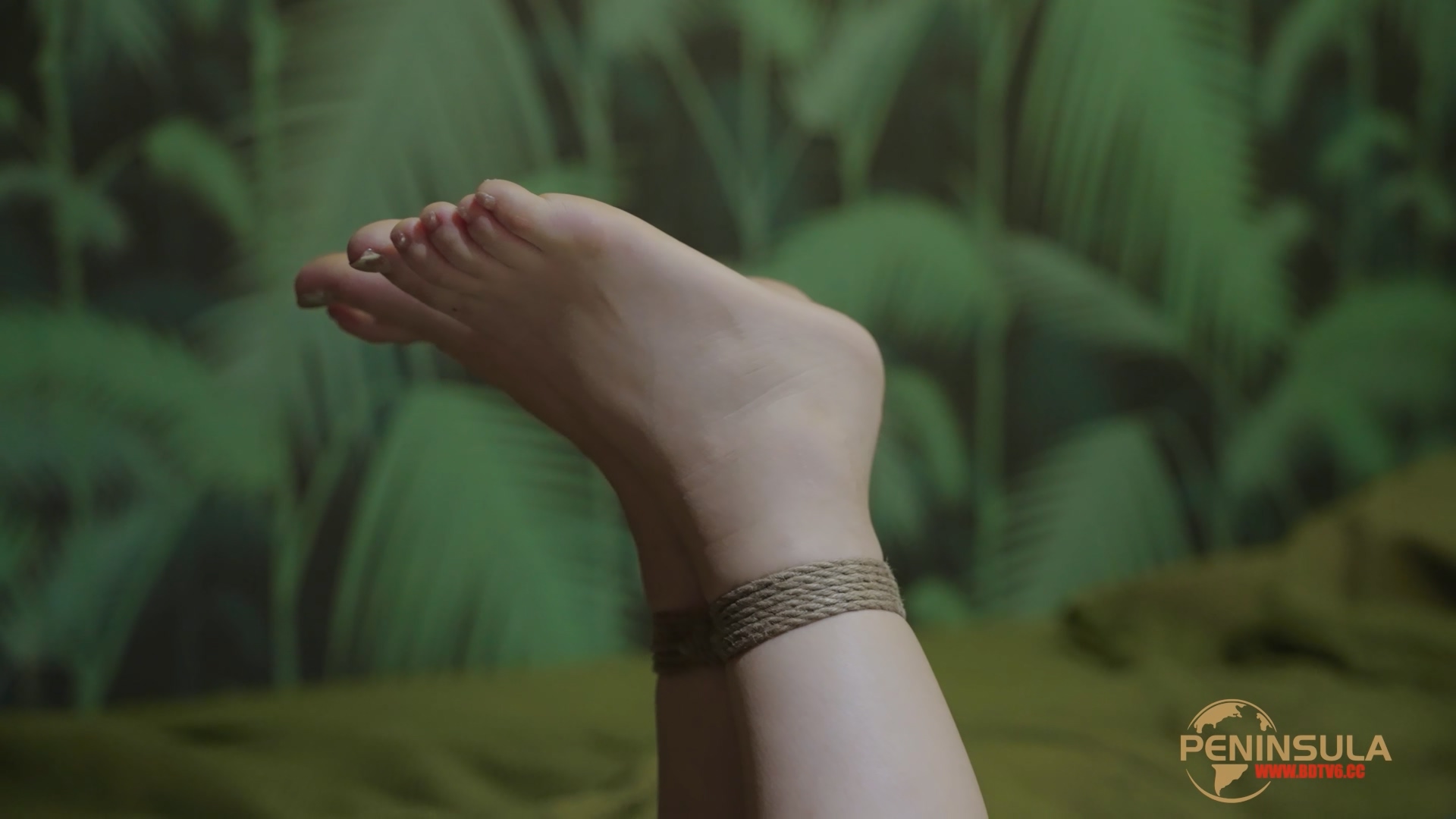 YT3018 开局一头鲸/index.m3u8_20251121_035445.350.jpg