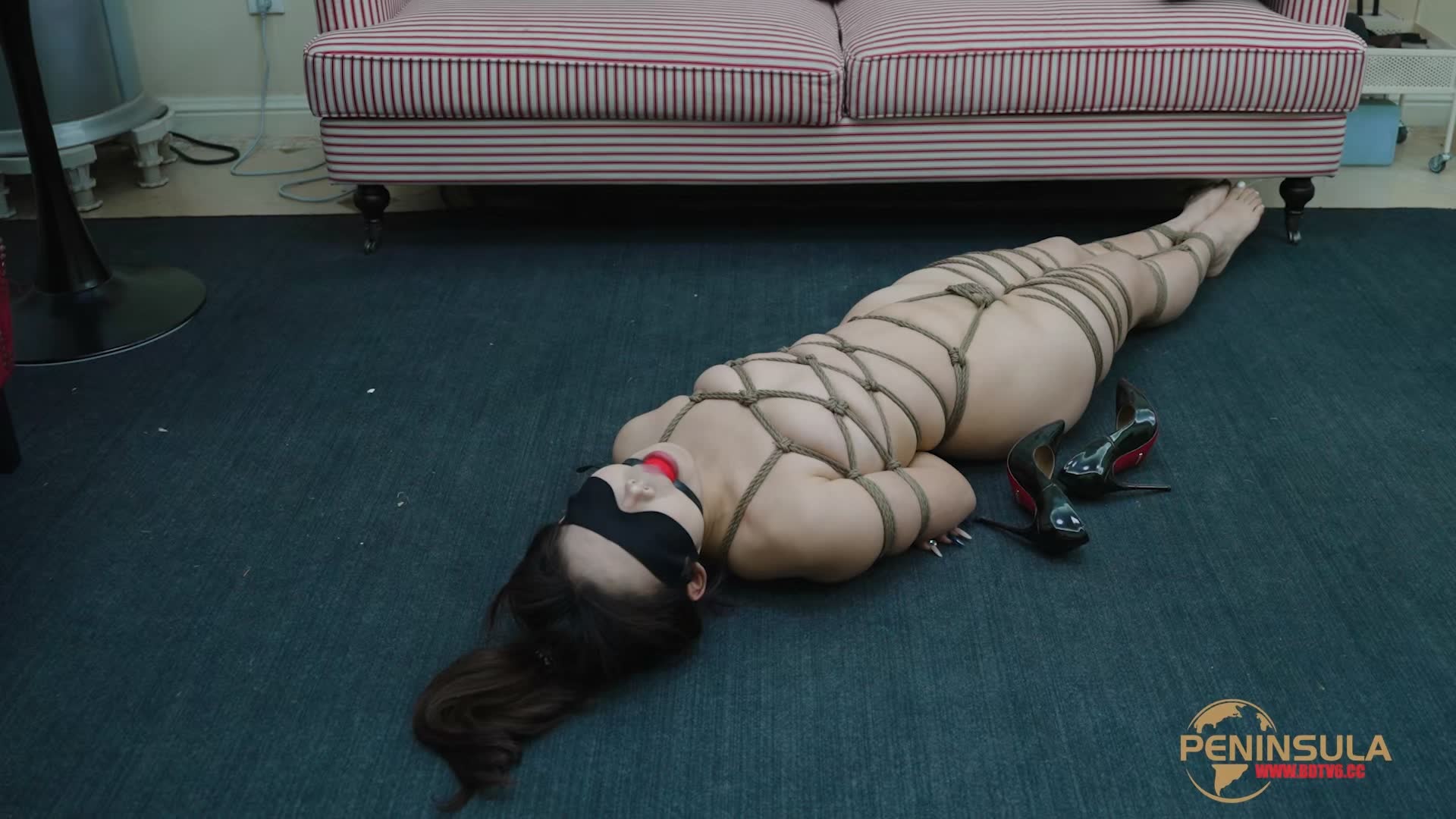 YT3040 迷路至此/index.m3u8_20251214_225804.139.jpg