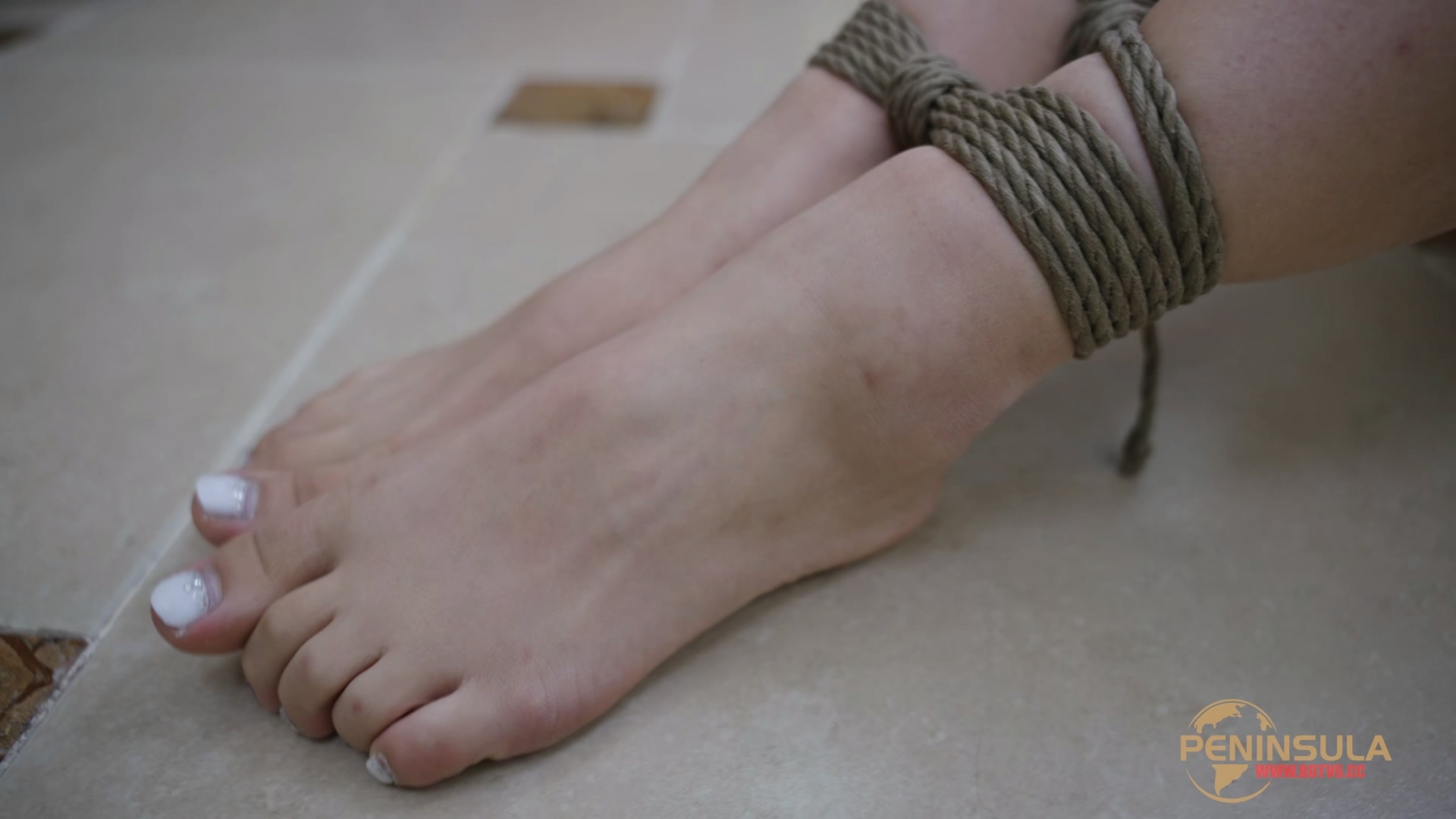 YT3040 迷路至此/index.m3u8_20251214_225837.141.jpg