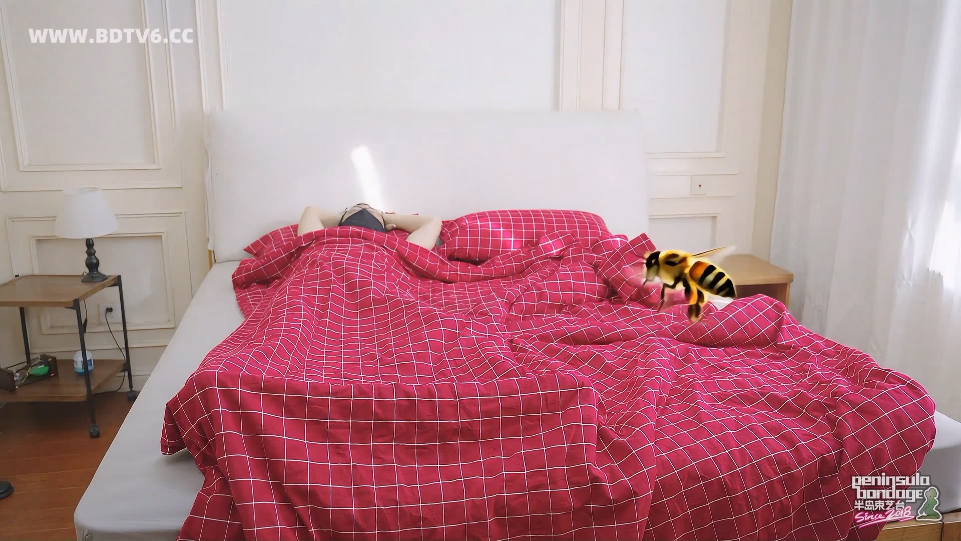 YT3049 家里进了蜜蜂/index.m3u8_20251223_032113.324.jpg